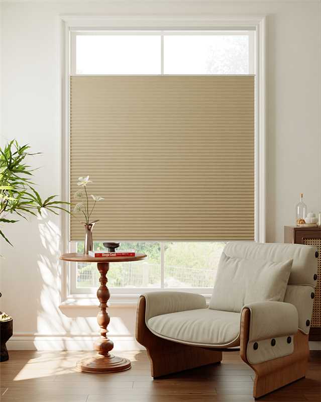 Top down bottom up blinds for light and privacy control