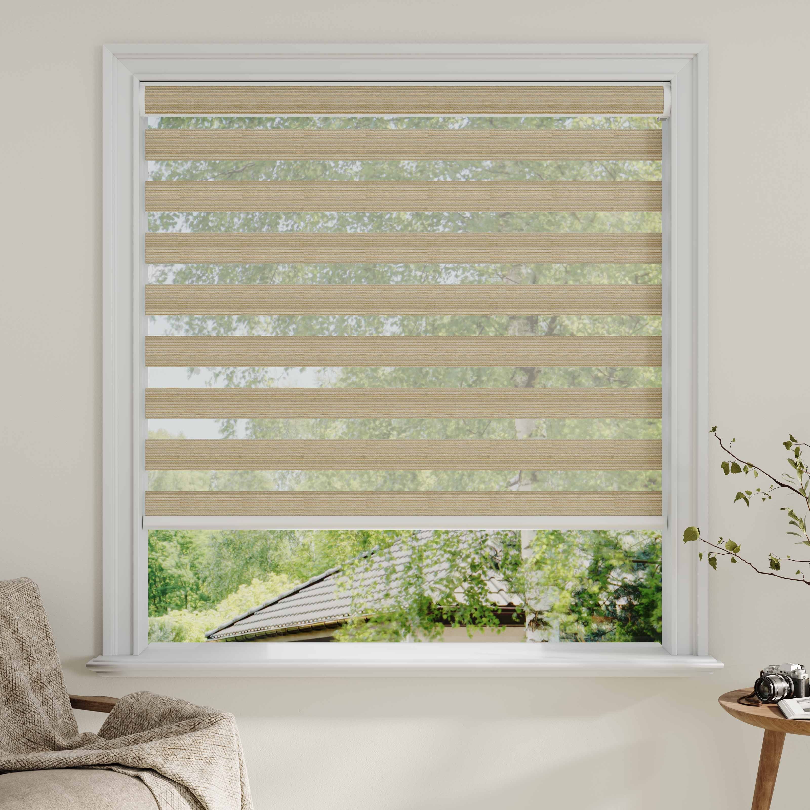 Room darkening Zebra Shades