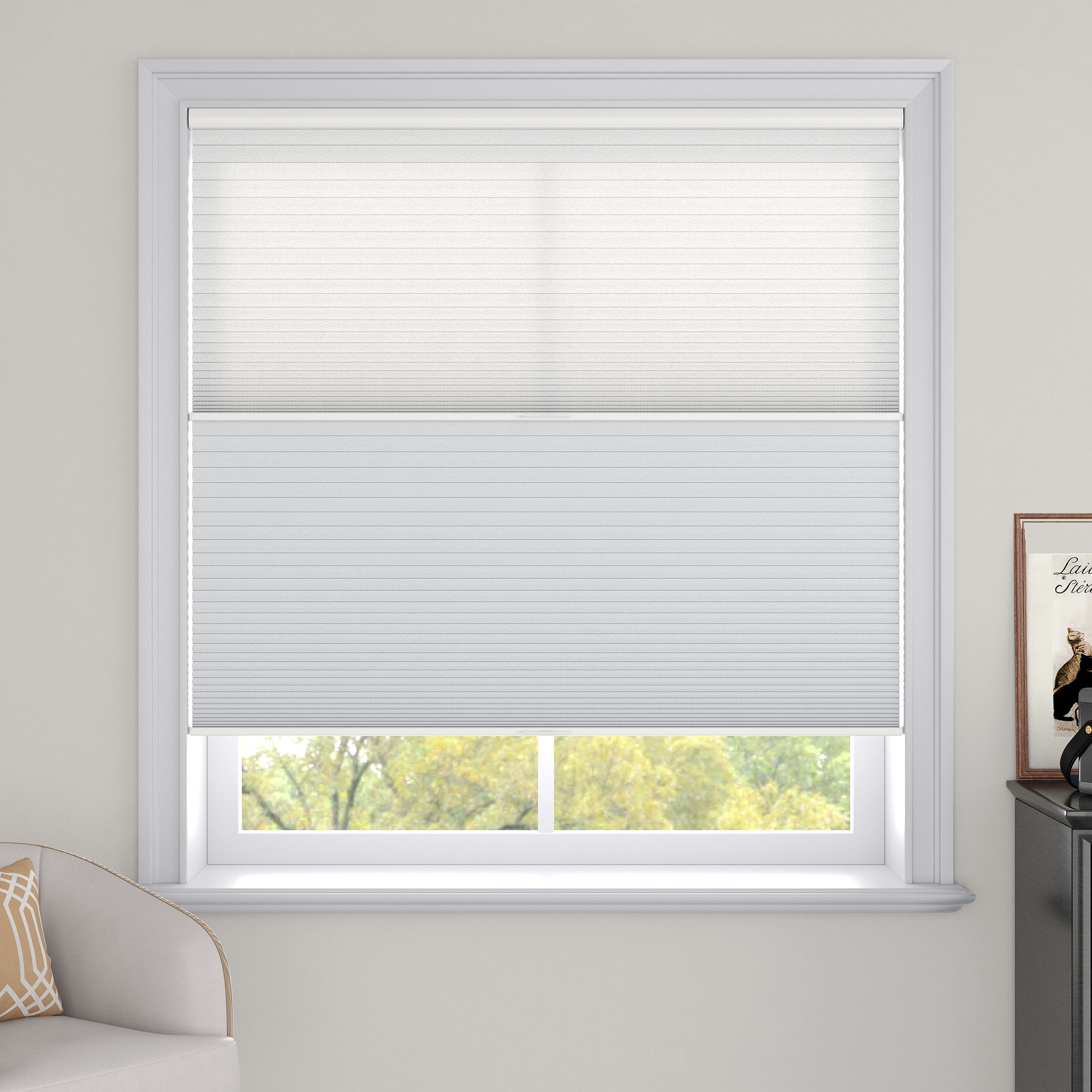 Day Night Cellular Shades