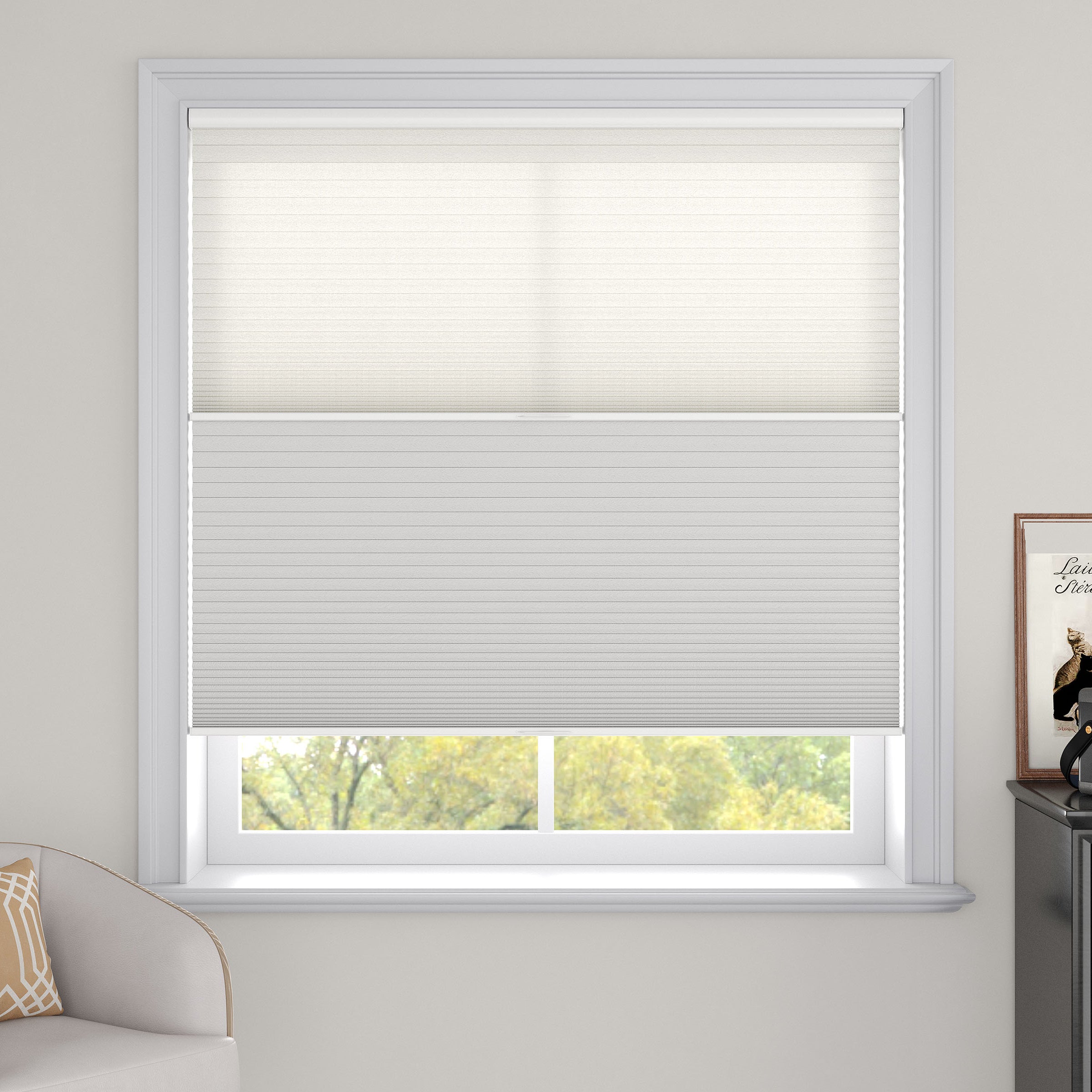 Day Night Cellular Shades