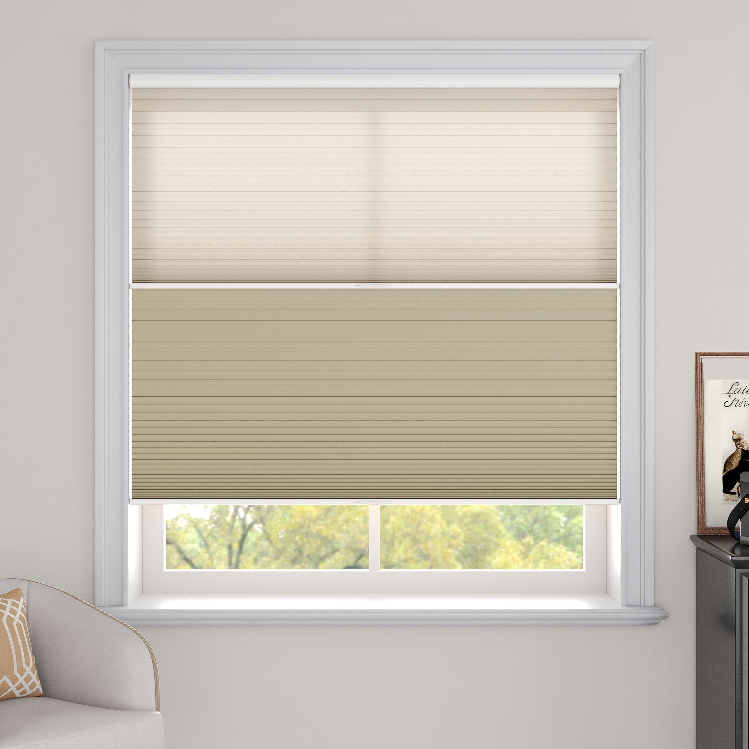 Day Night Cellular Shades