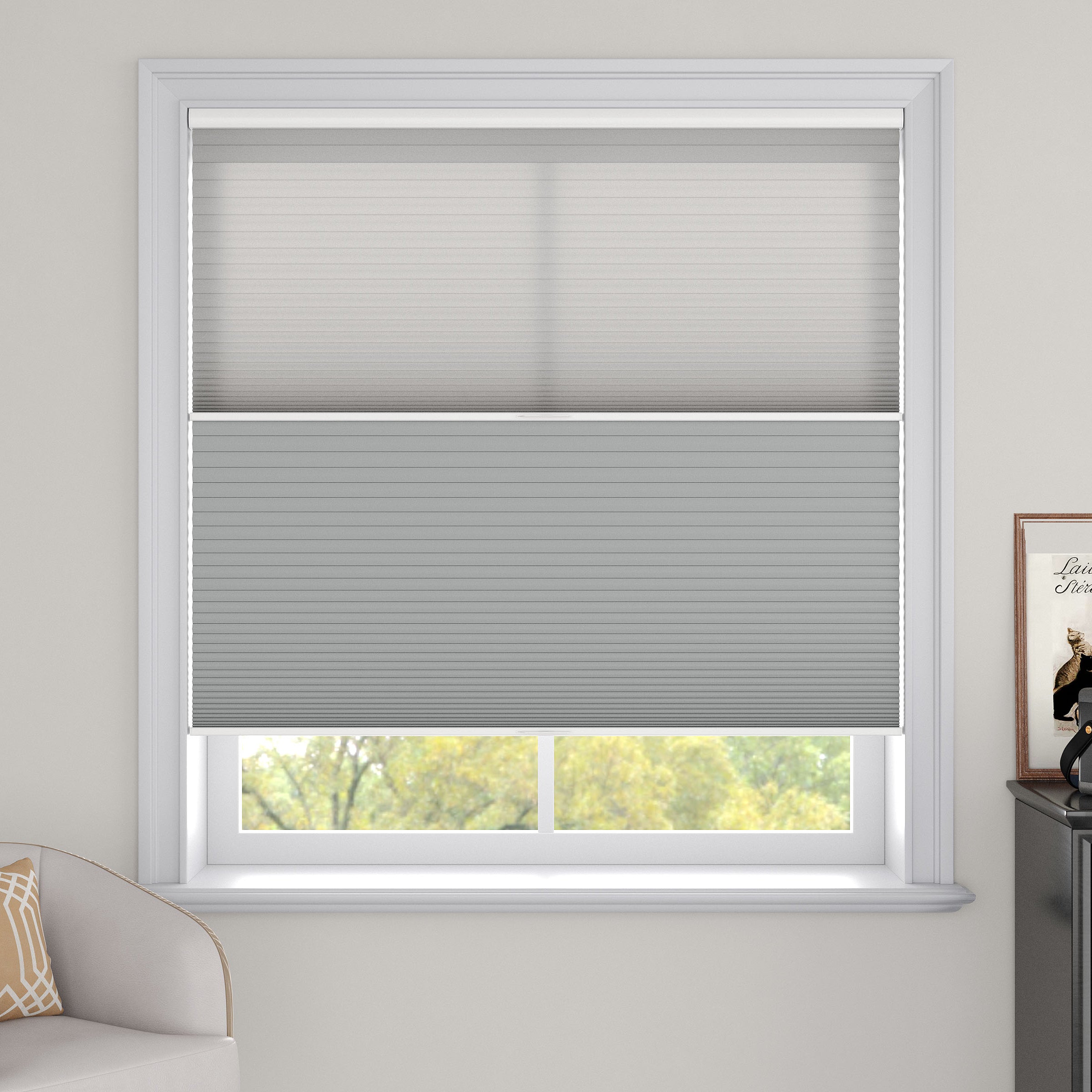 Day Night Cellular Shades