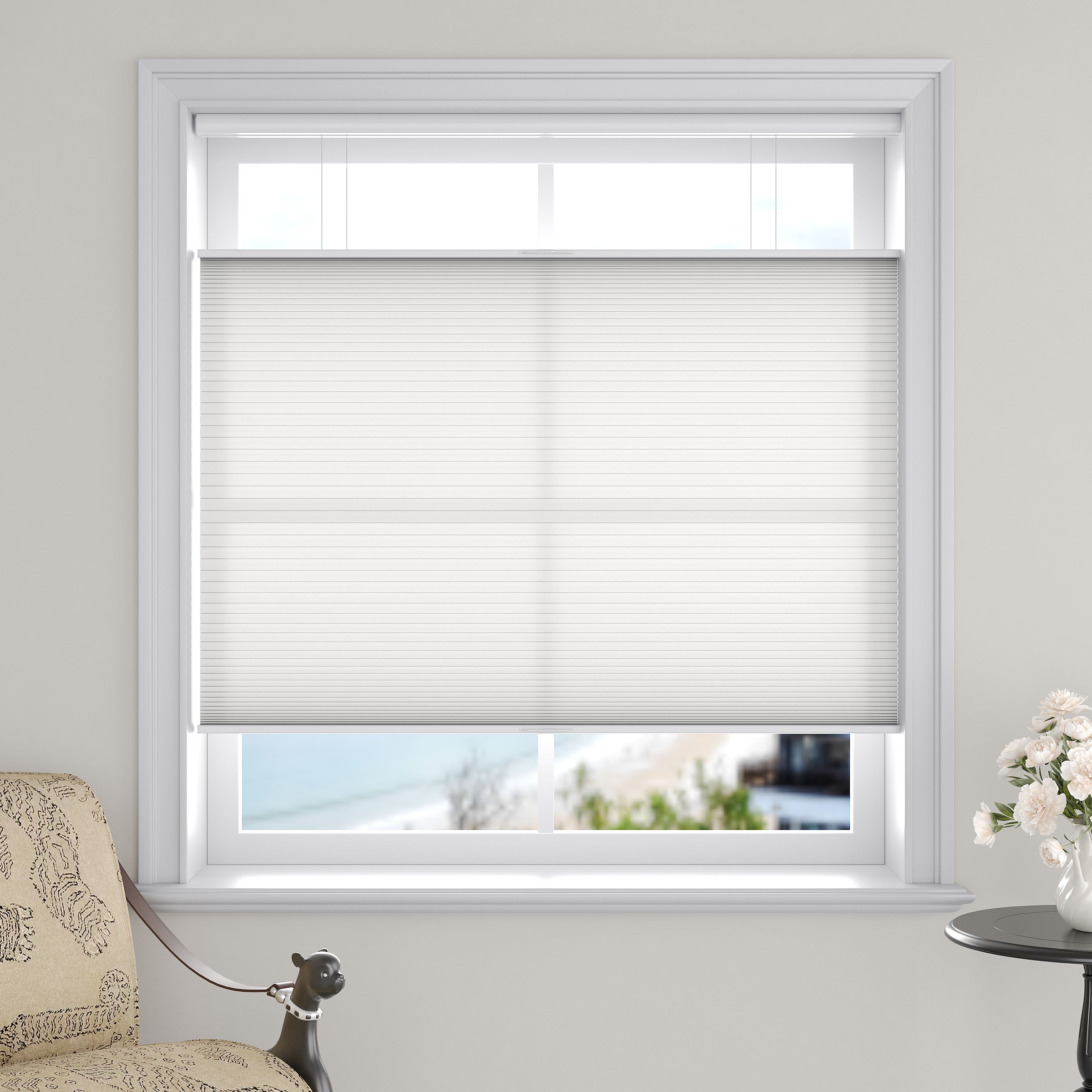 Light Filtering Top Down Bottom Up Cellular Shades