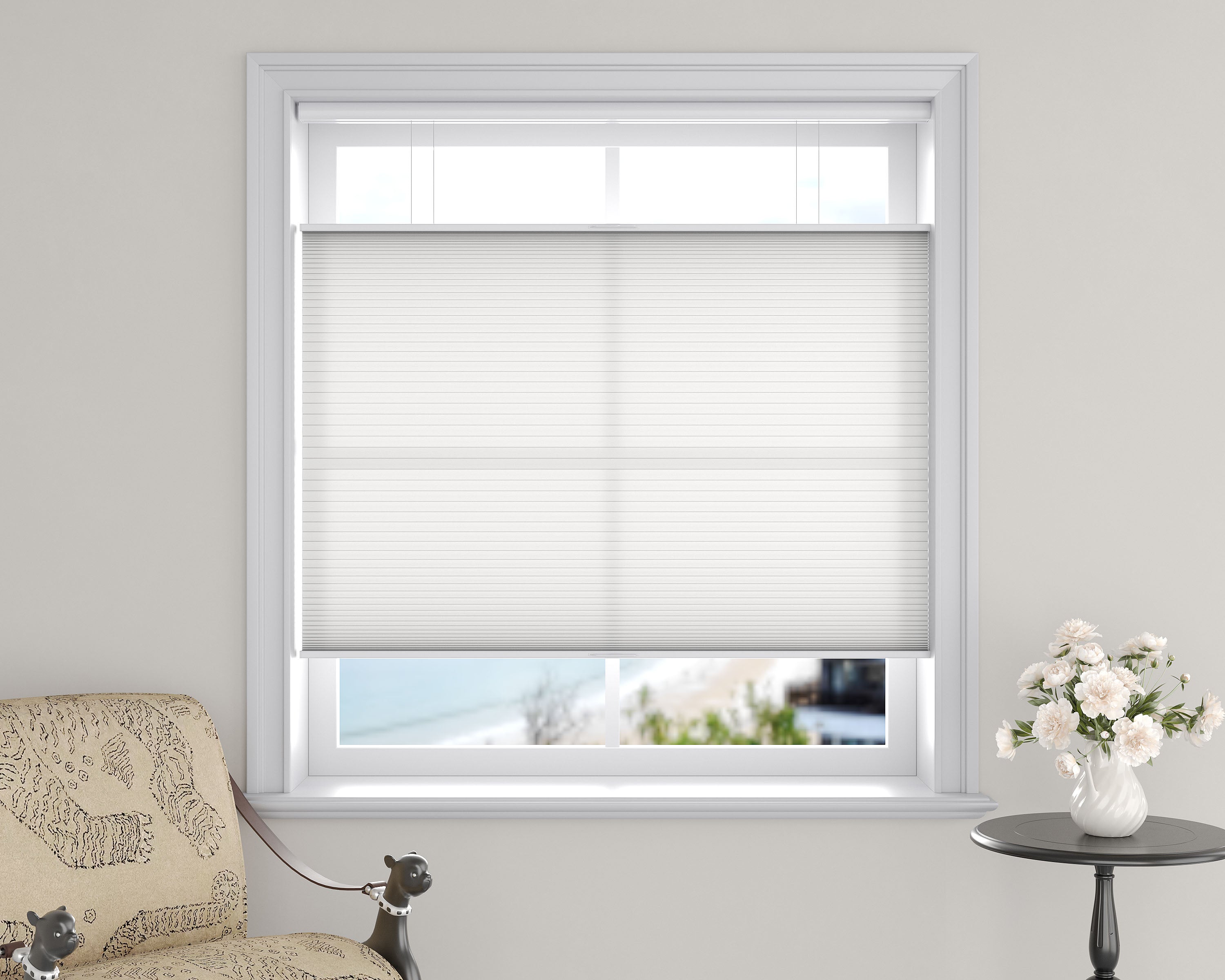 Light Filtering Top Down Bottom Up Cellular Shades