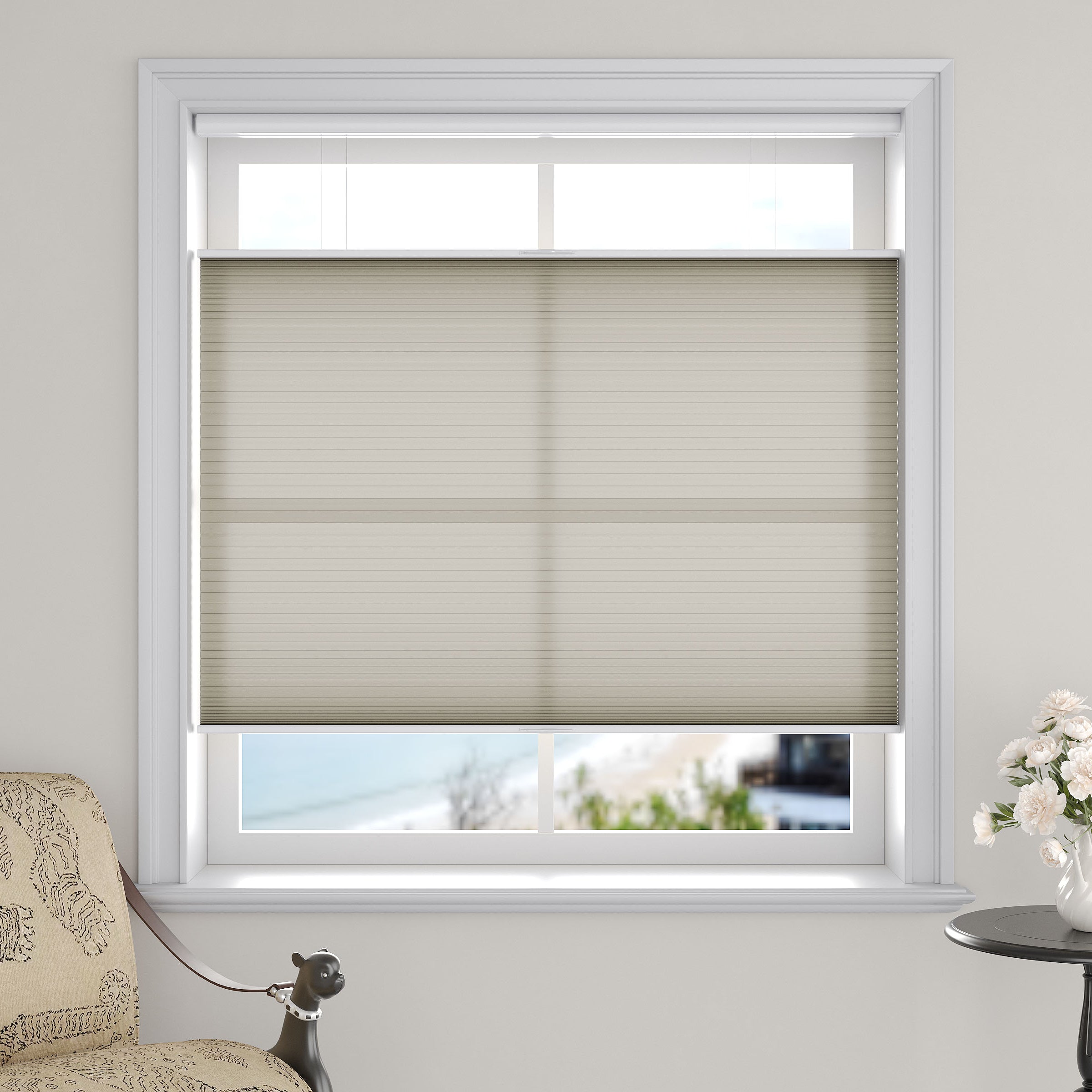 Light Filtering Top Down Bottom Up Cellular Shades