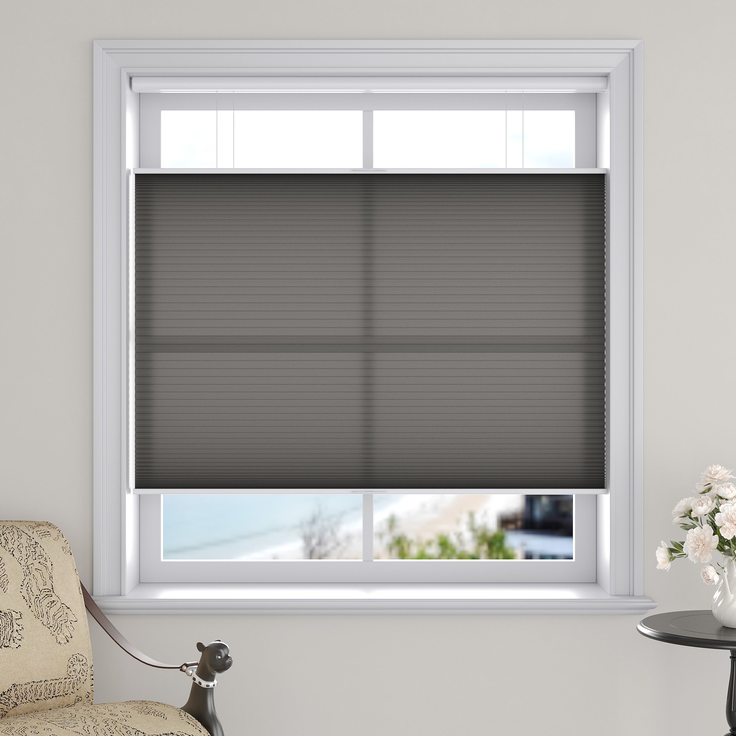 Light Filtering Top Down Bottom Up Cellular Shades
