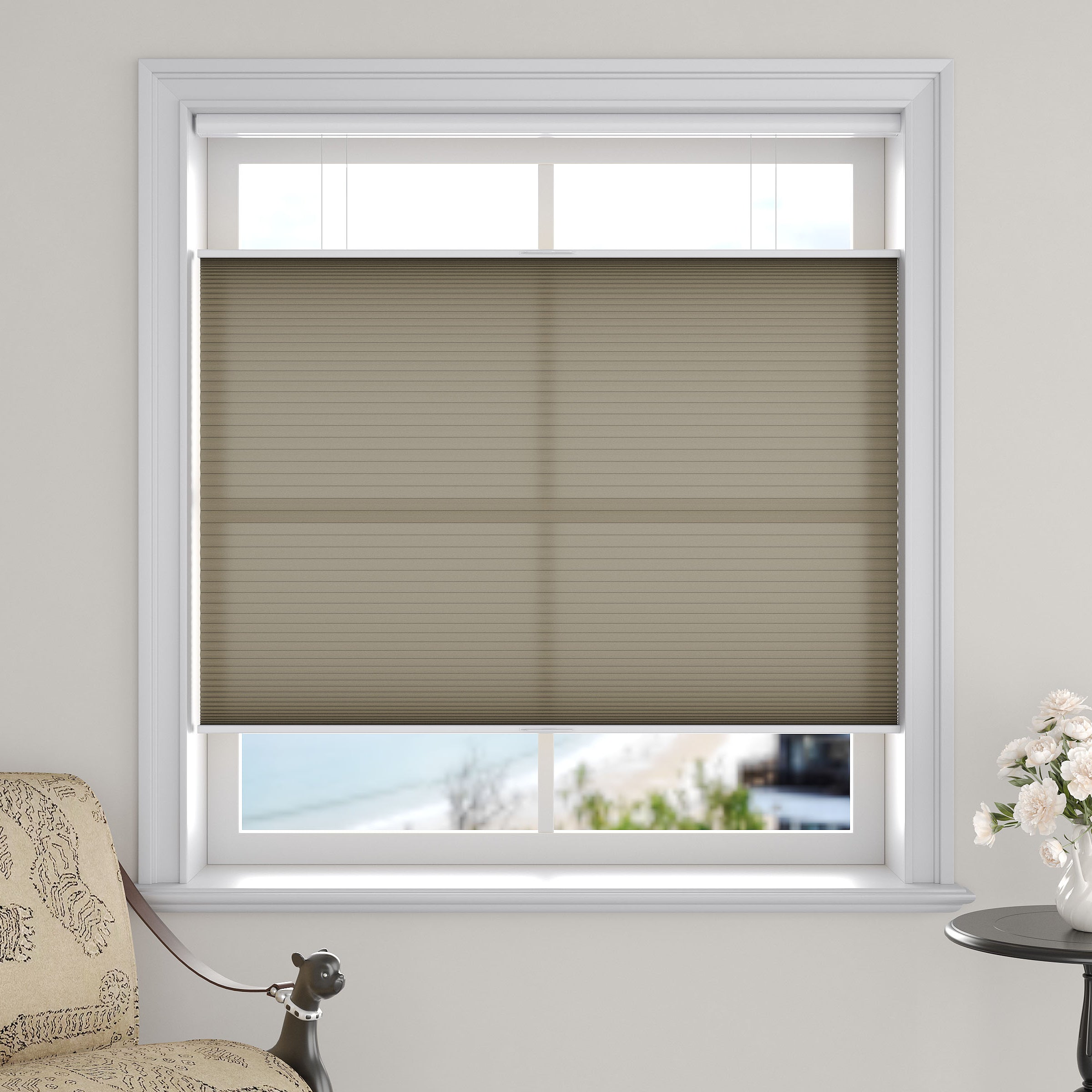 Light Filtering Top Down Bottom Up Cellular Shades