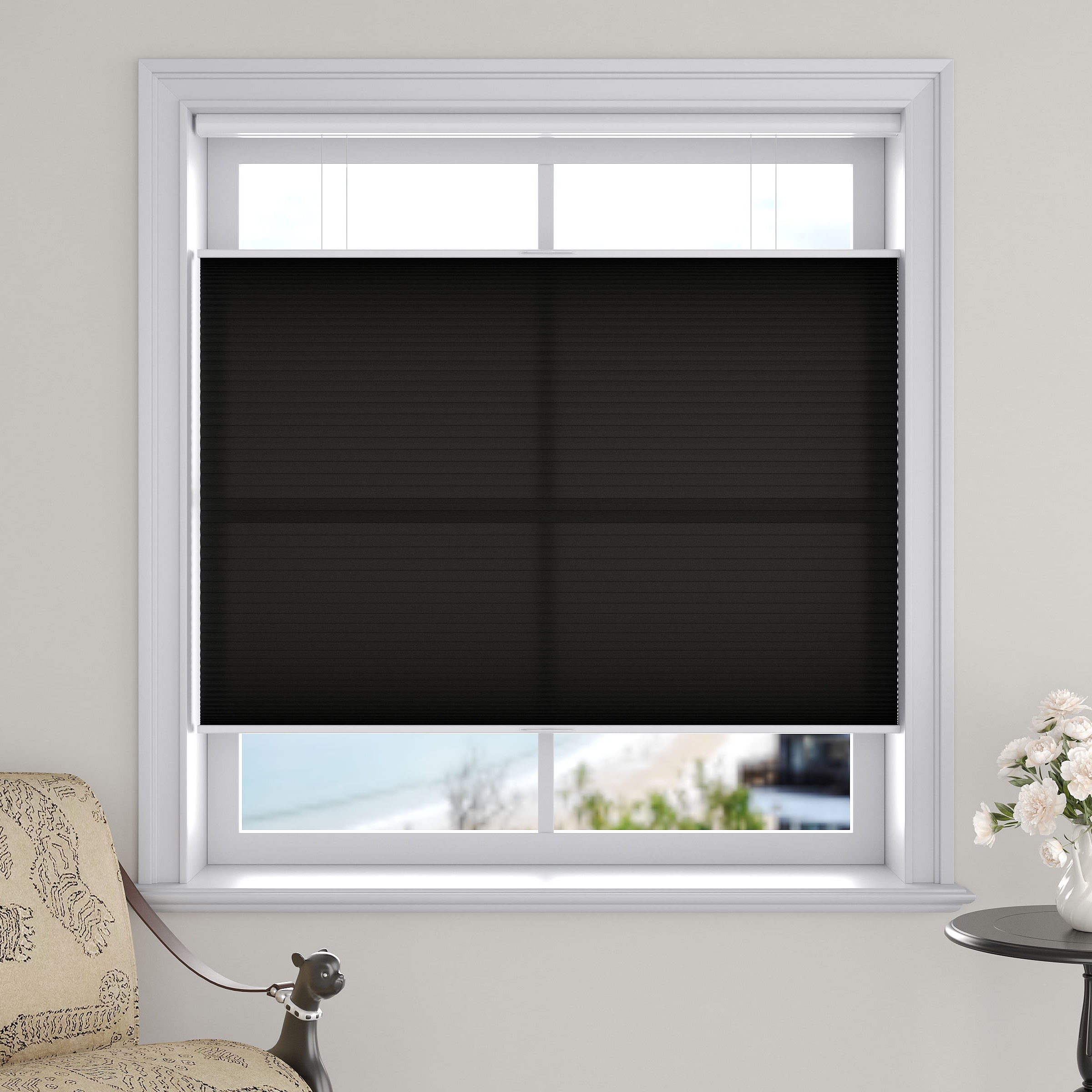 Light Filtering Top Down Bottom Up Cellular Shades
