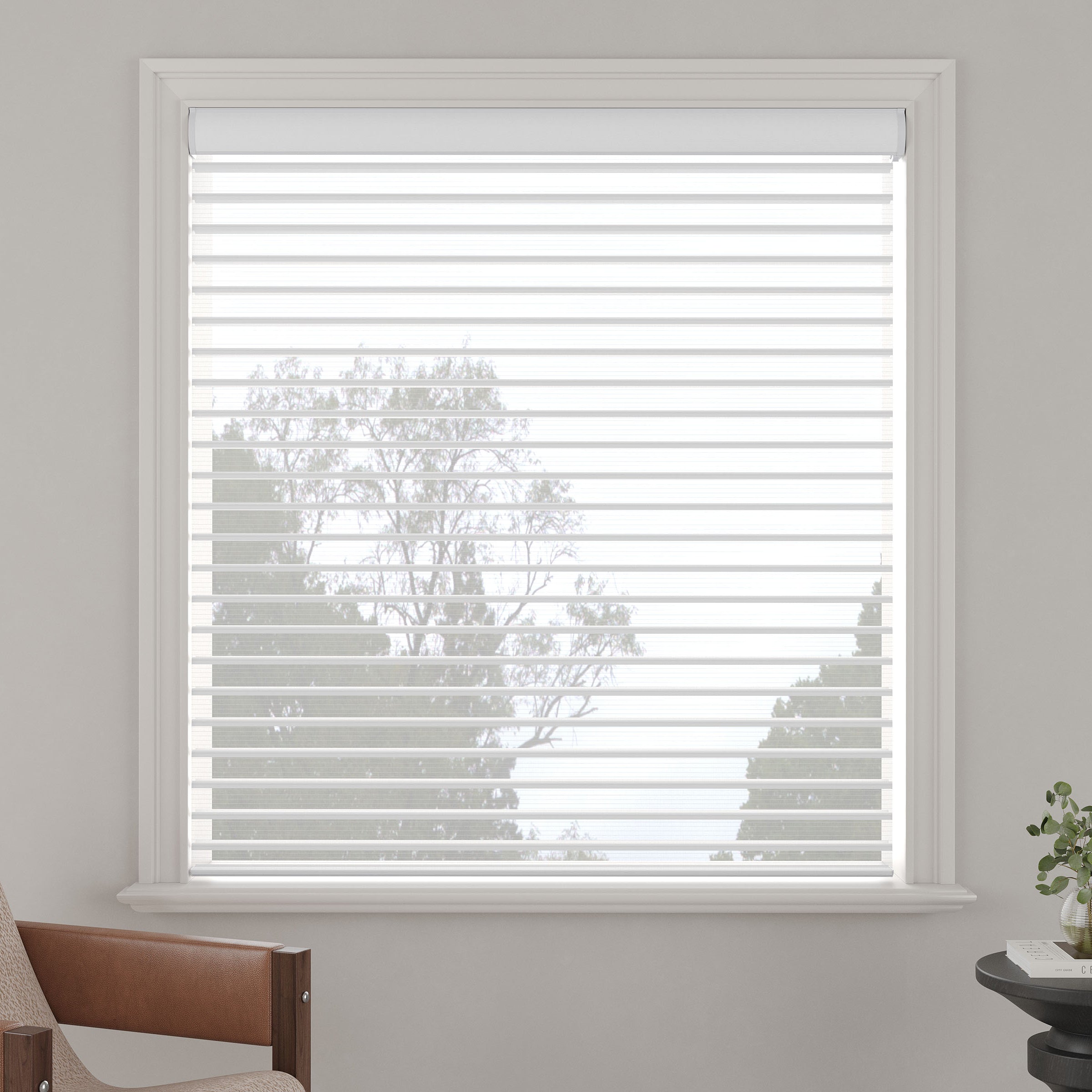 Light-Filtering Sheer Shades