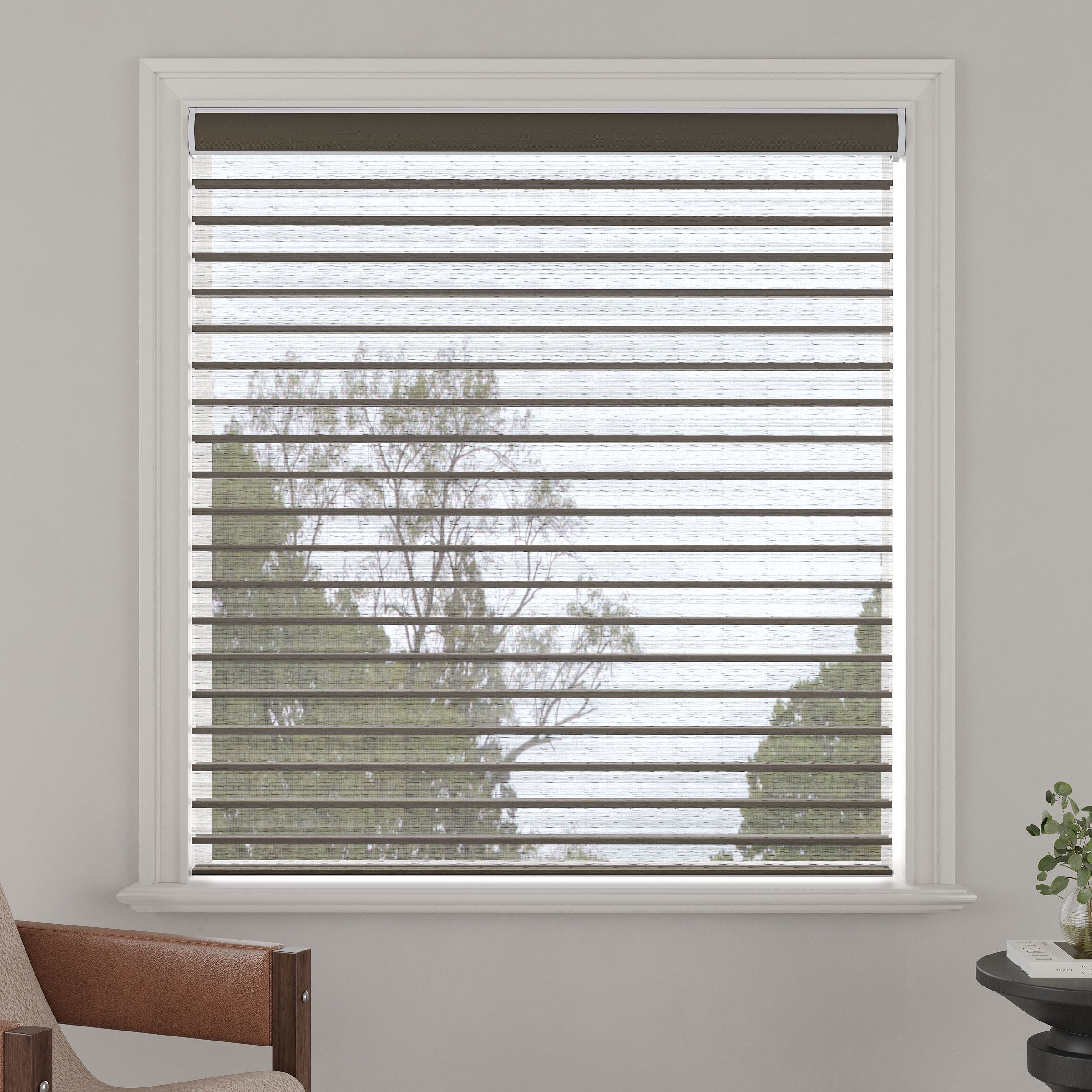 Light-Filtering Sheer Shades