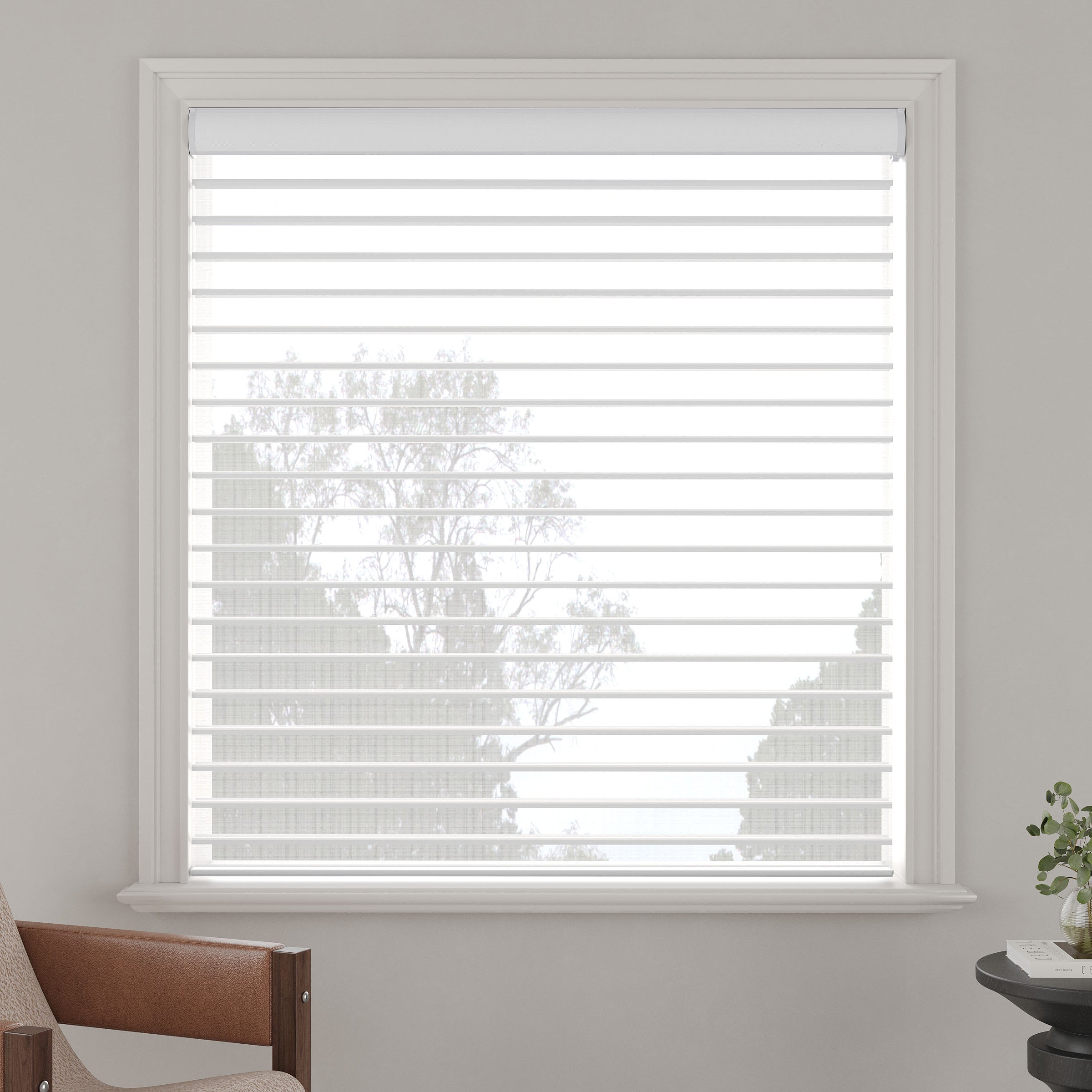 Light-Filtering Sheer Shades