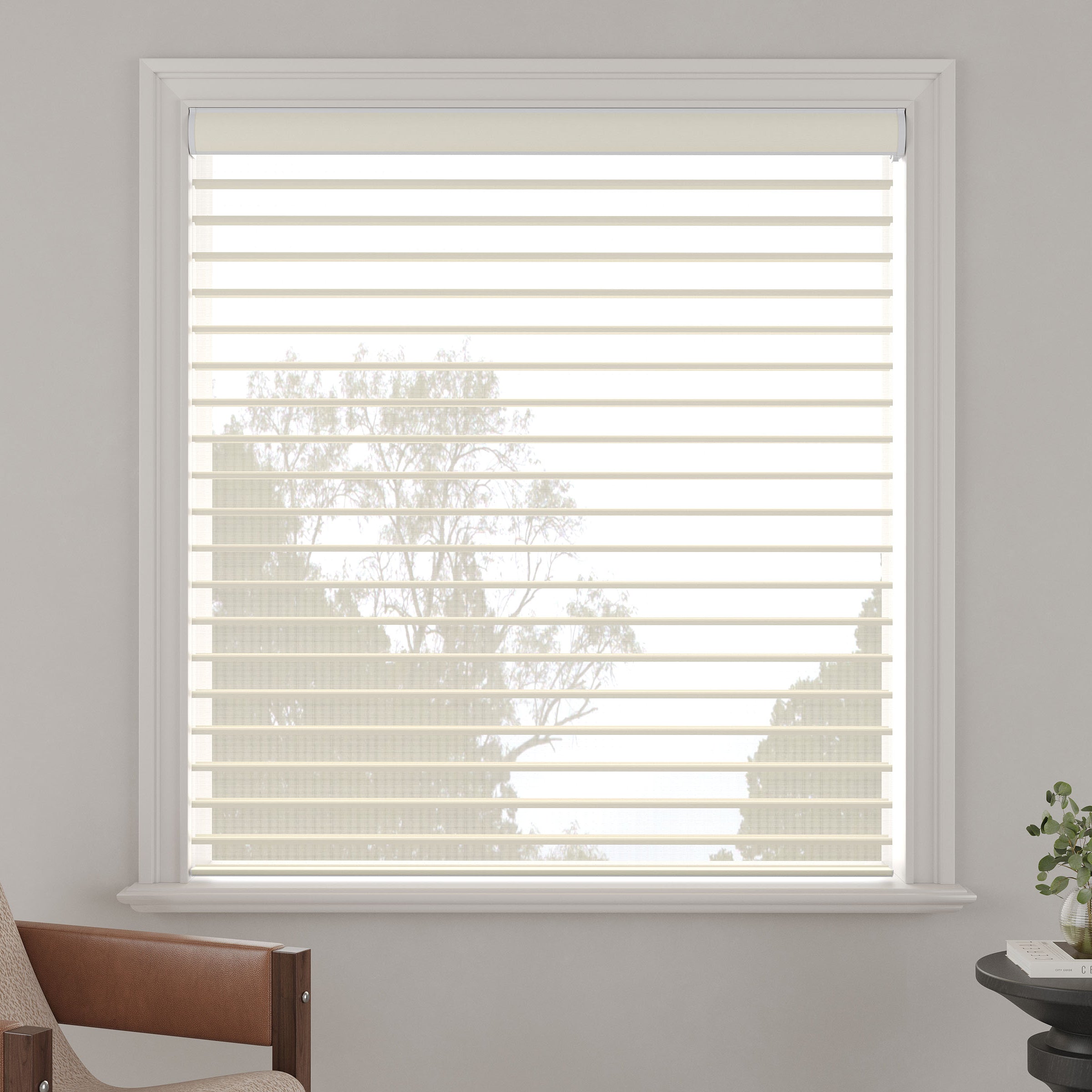 Light-Filtering Sheer Shades