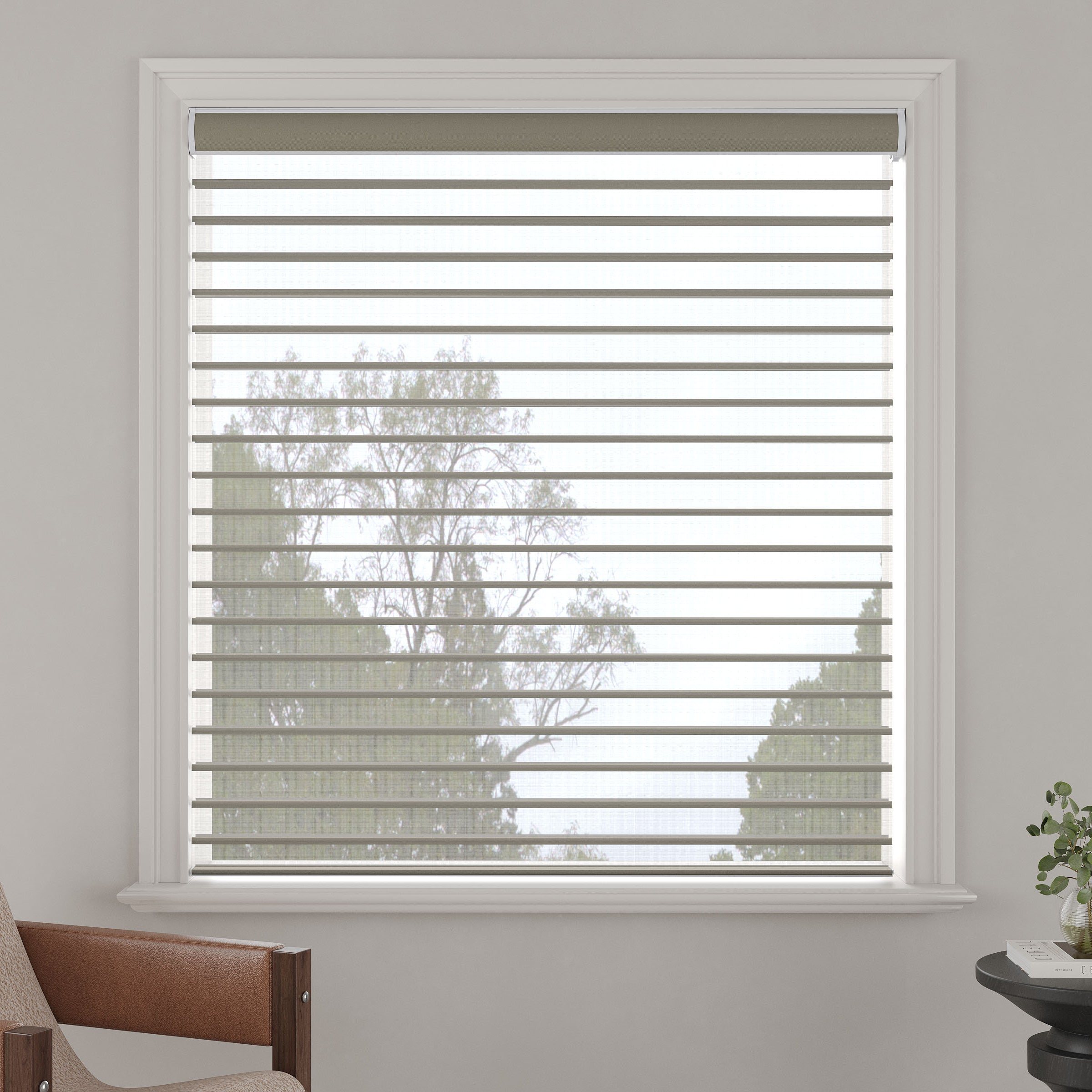 Light-Filtering Sheer Shades