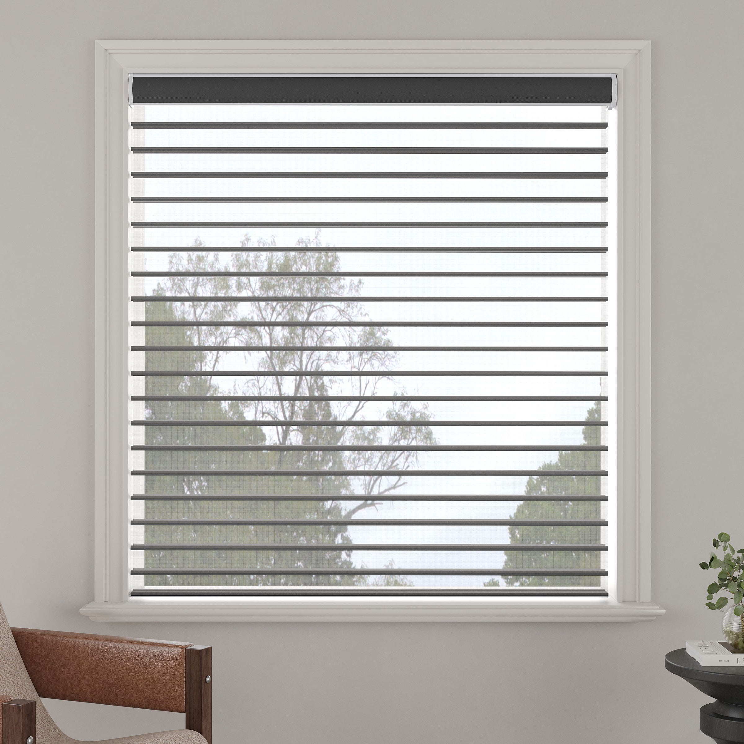 Light-Filtering Sheer Shades