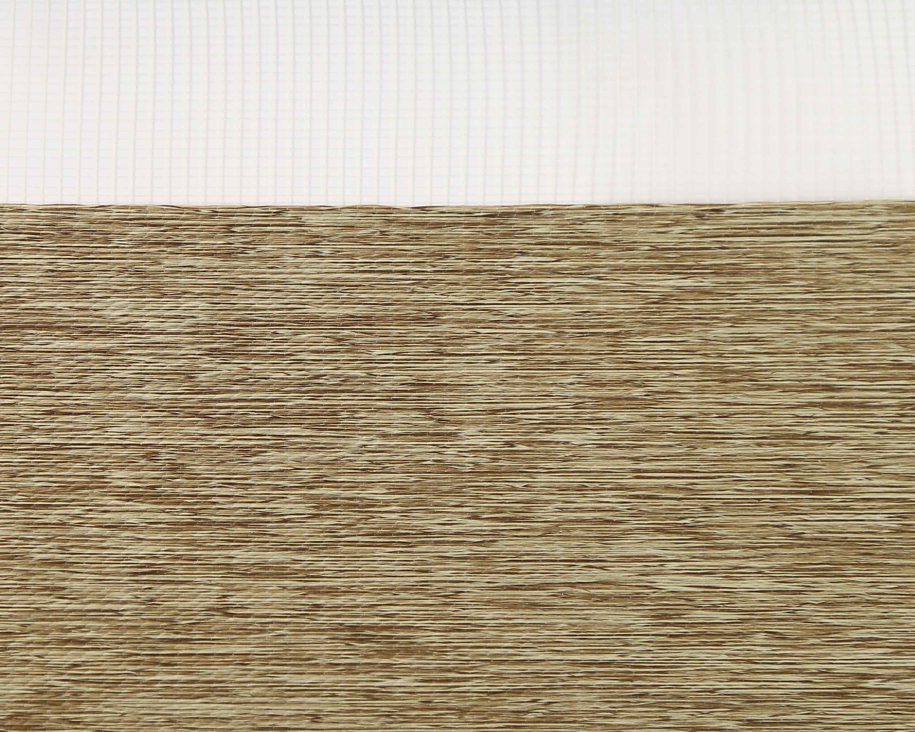 SenseBlinds-Zebra-Shades-Free-Sample