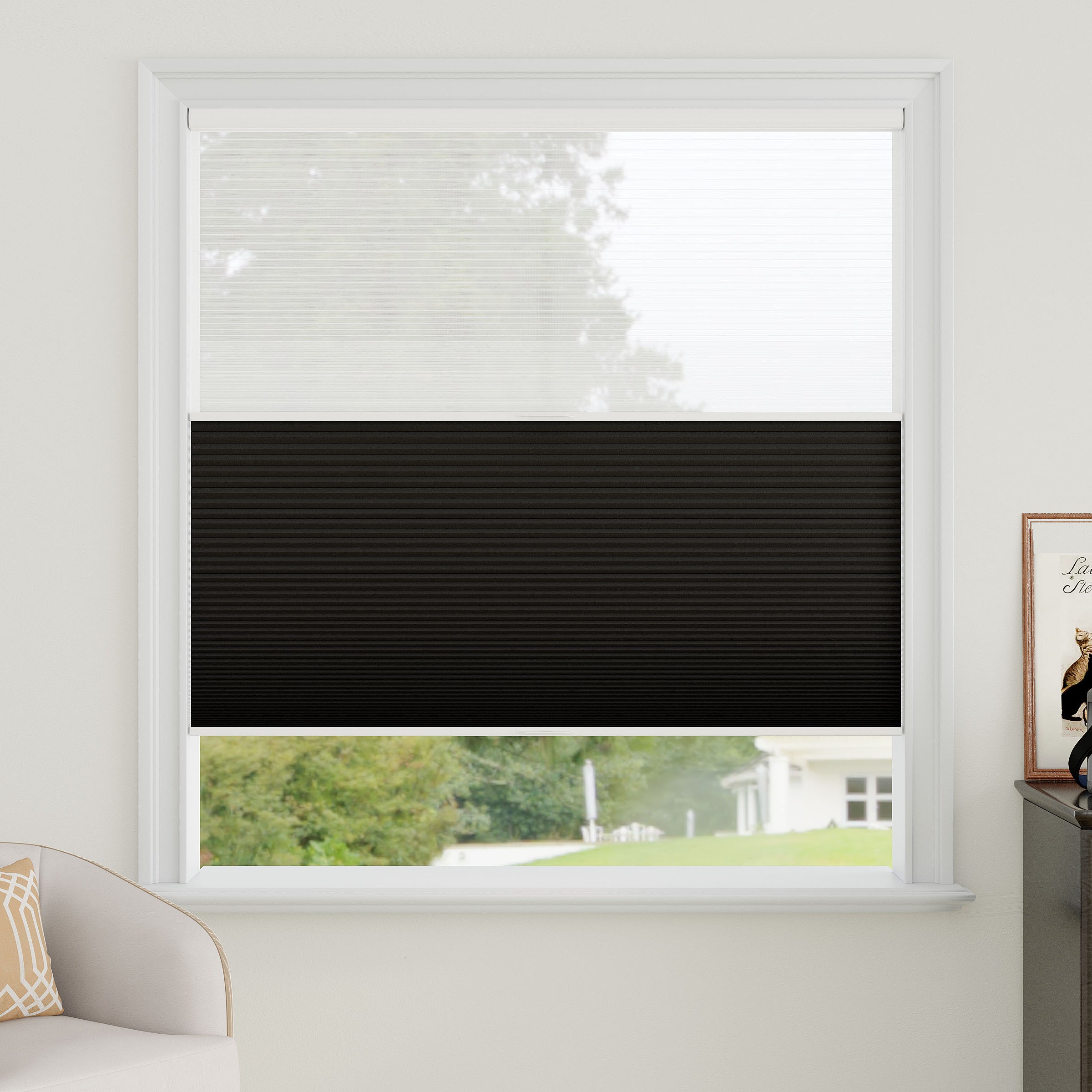 Sheer Fabric Day Night Cellular Shades