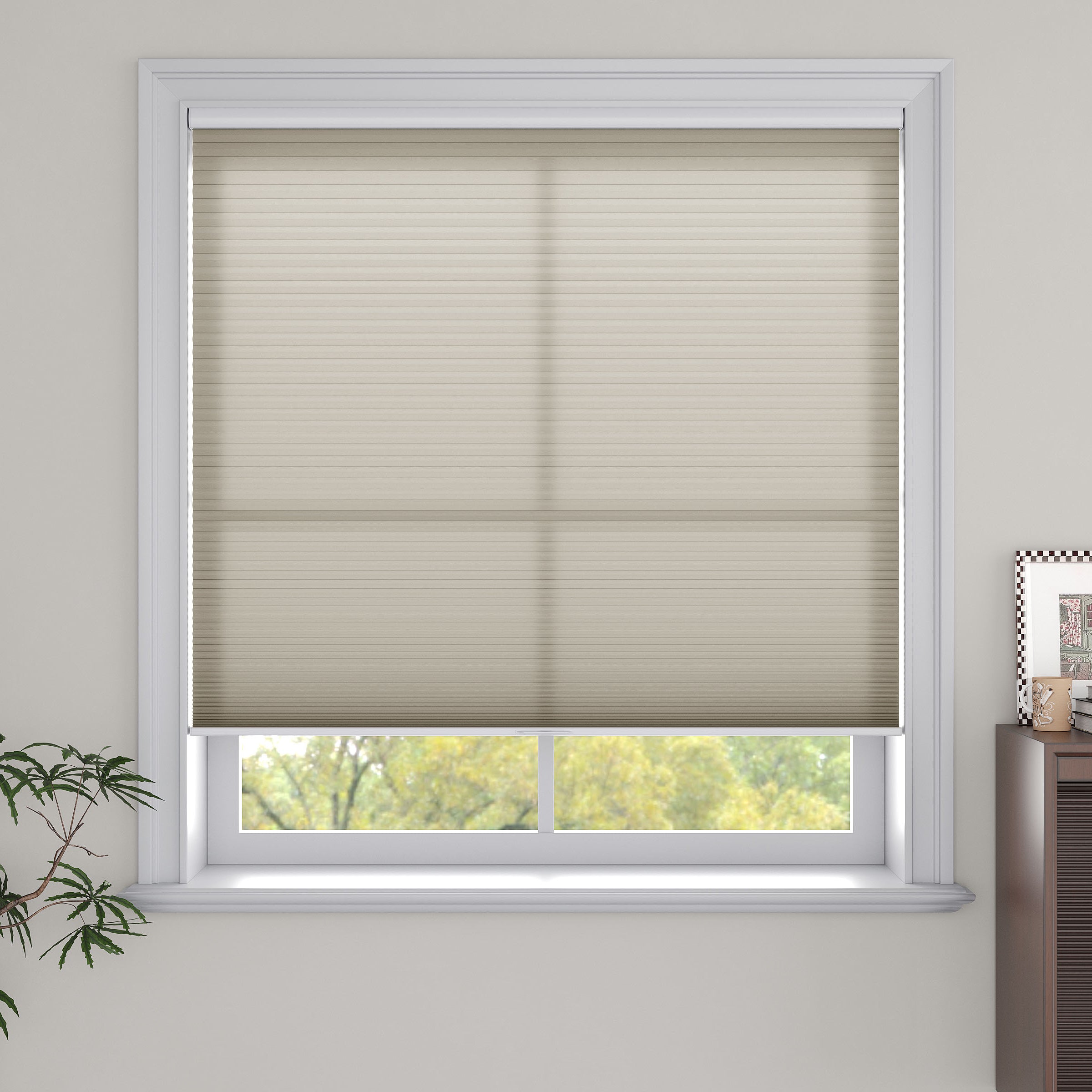 Cordless Light Filtering Cellular Shades