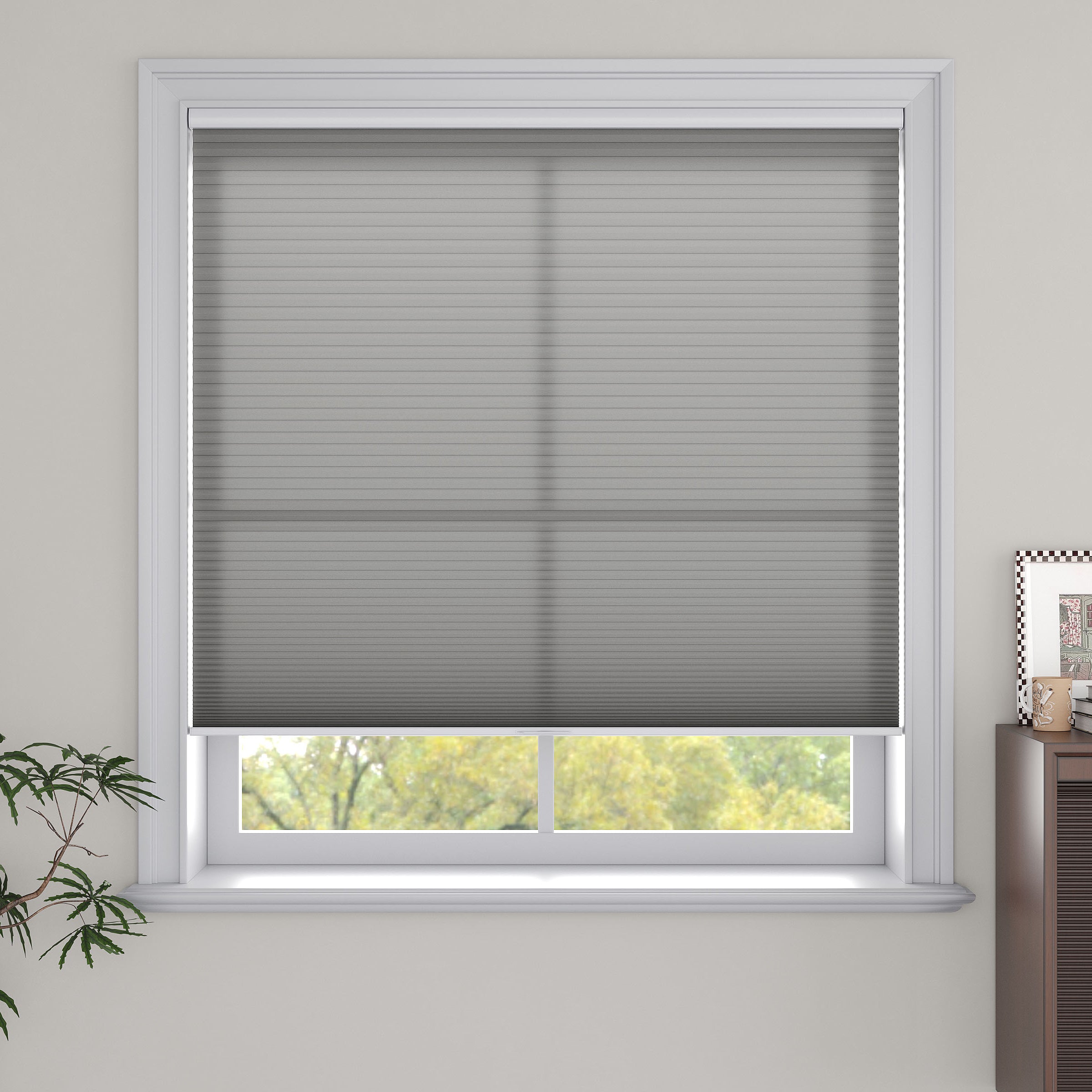 Cordless Light Filtering Cellular Shades