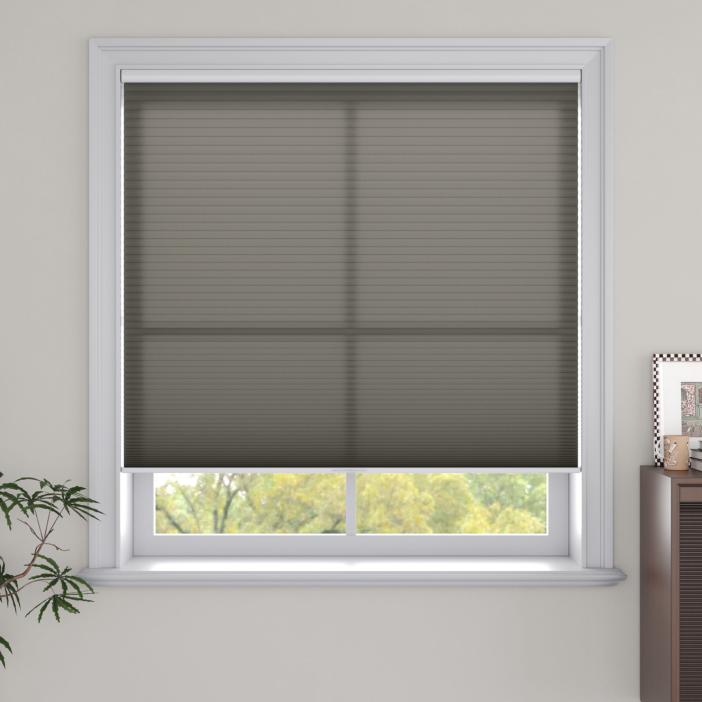 Cordless Light Filtering Cellular Shades