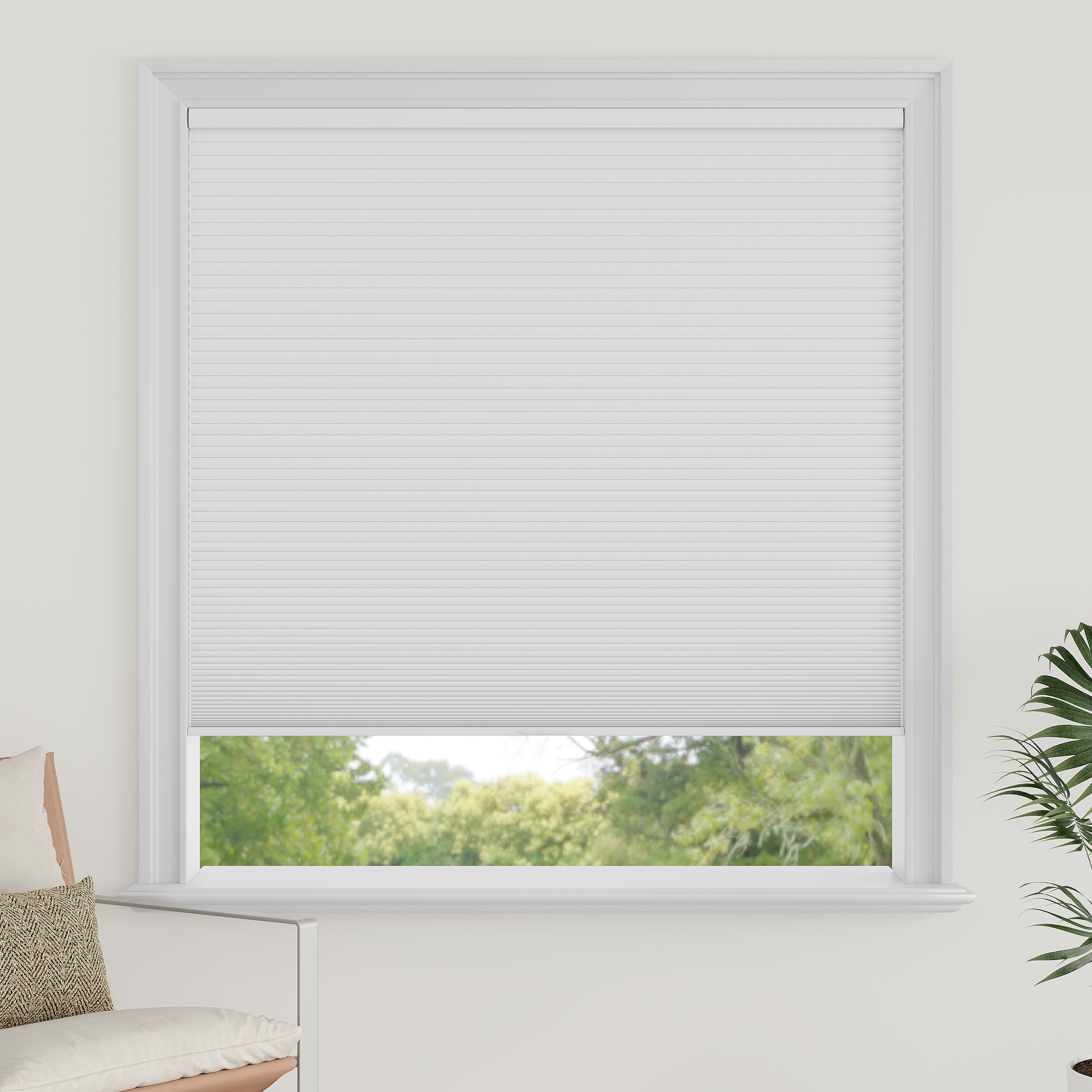 Cordless Blackout Cellular Shades