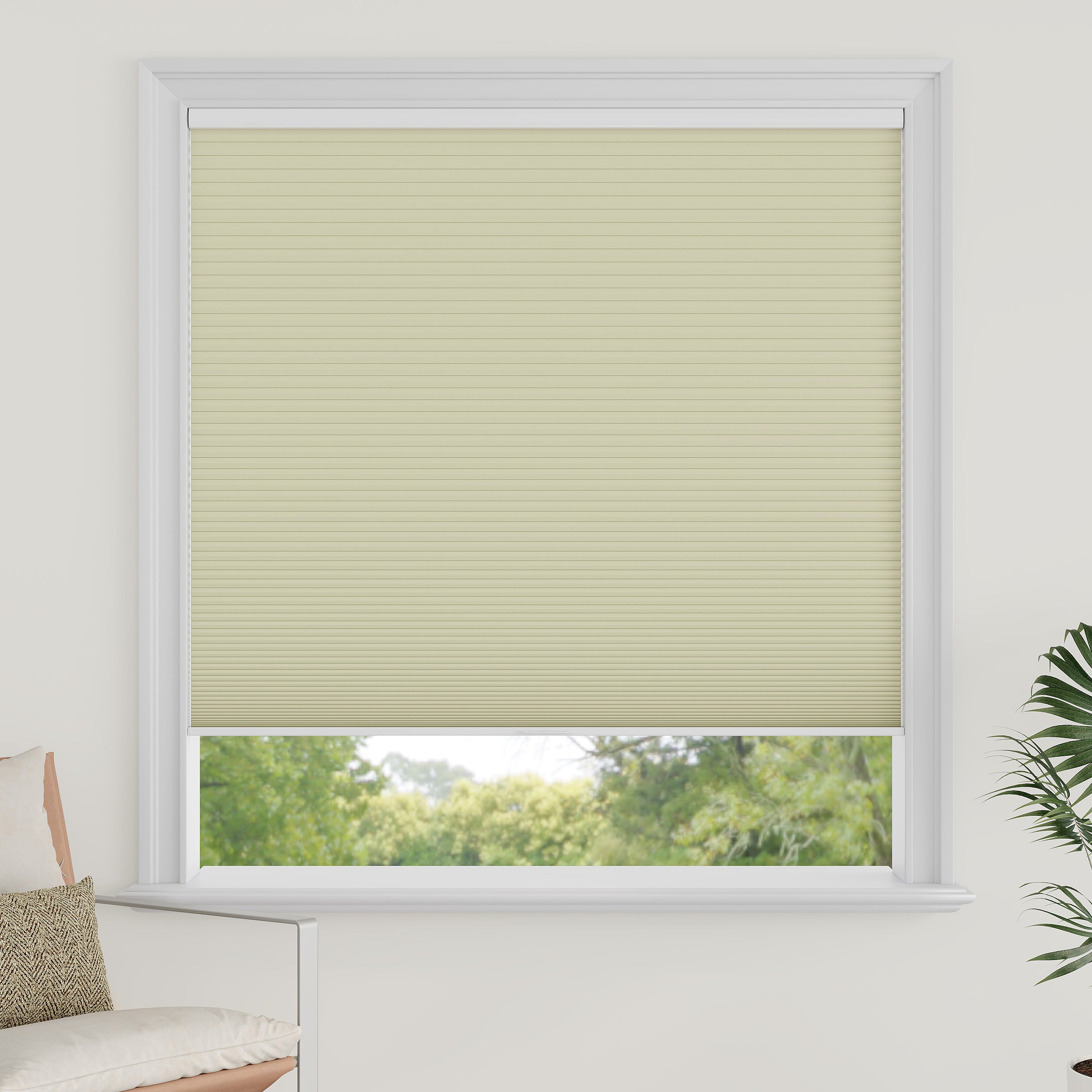 Cordless Blackout Cellular Shades