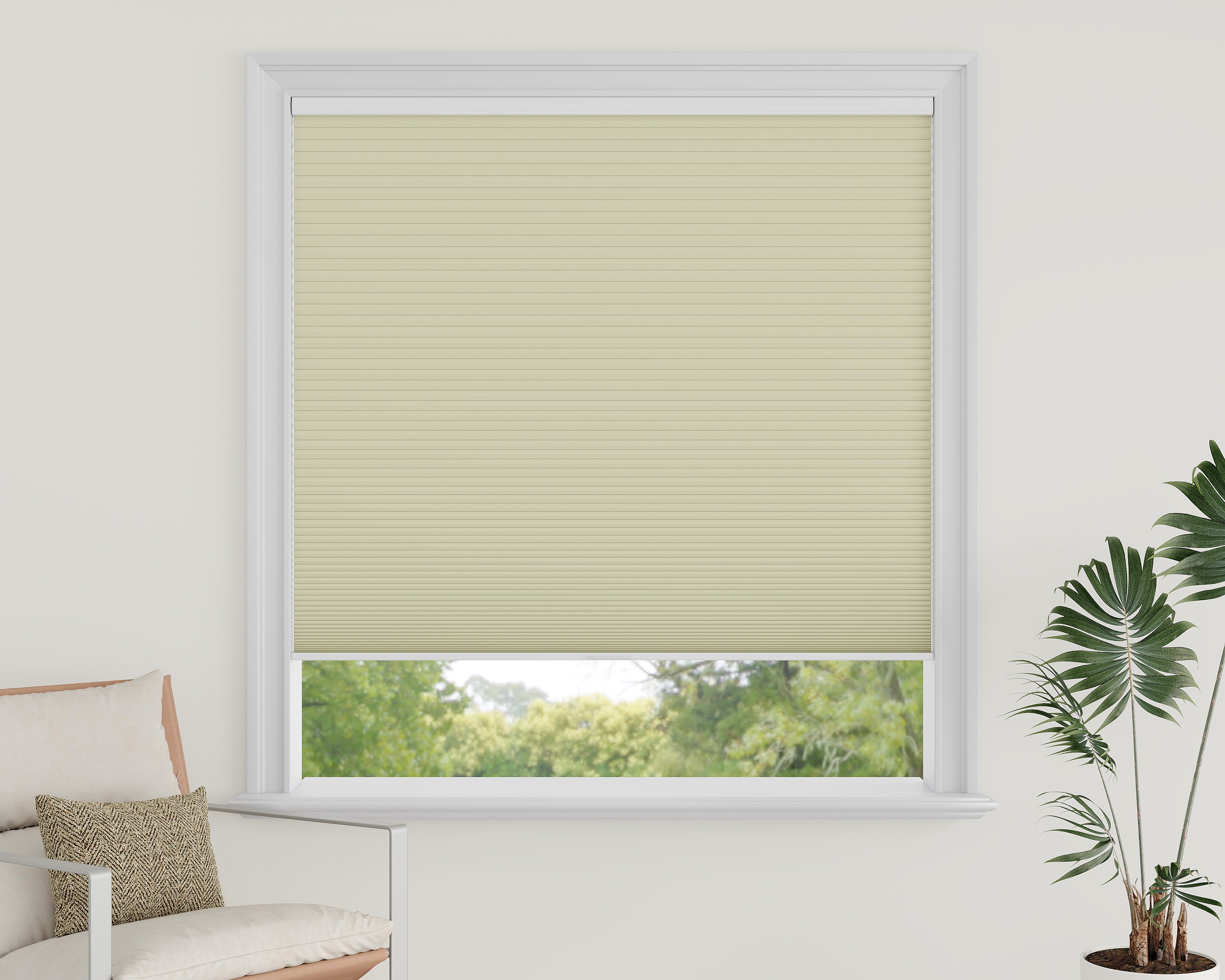 Cordless Blackout Cellular Shades