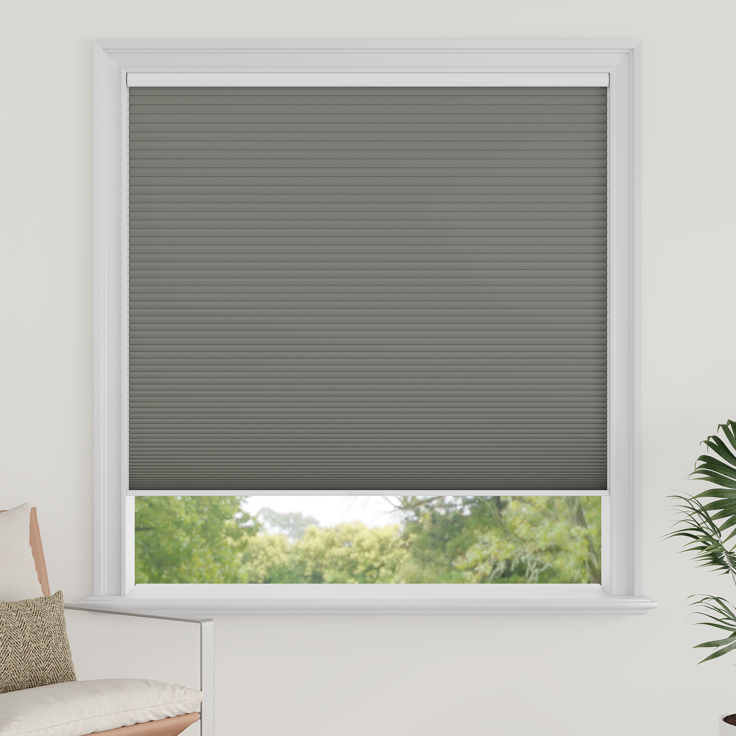 Cordless Blackout Cellular Shades