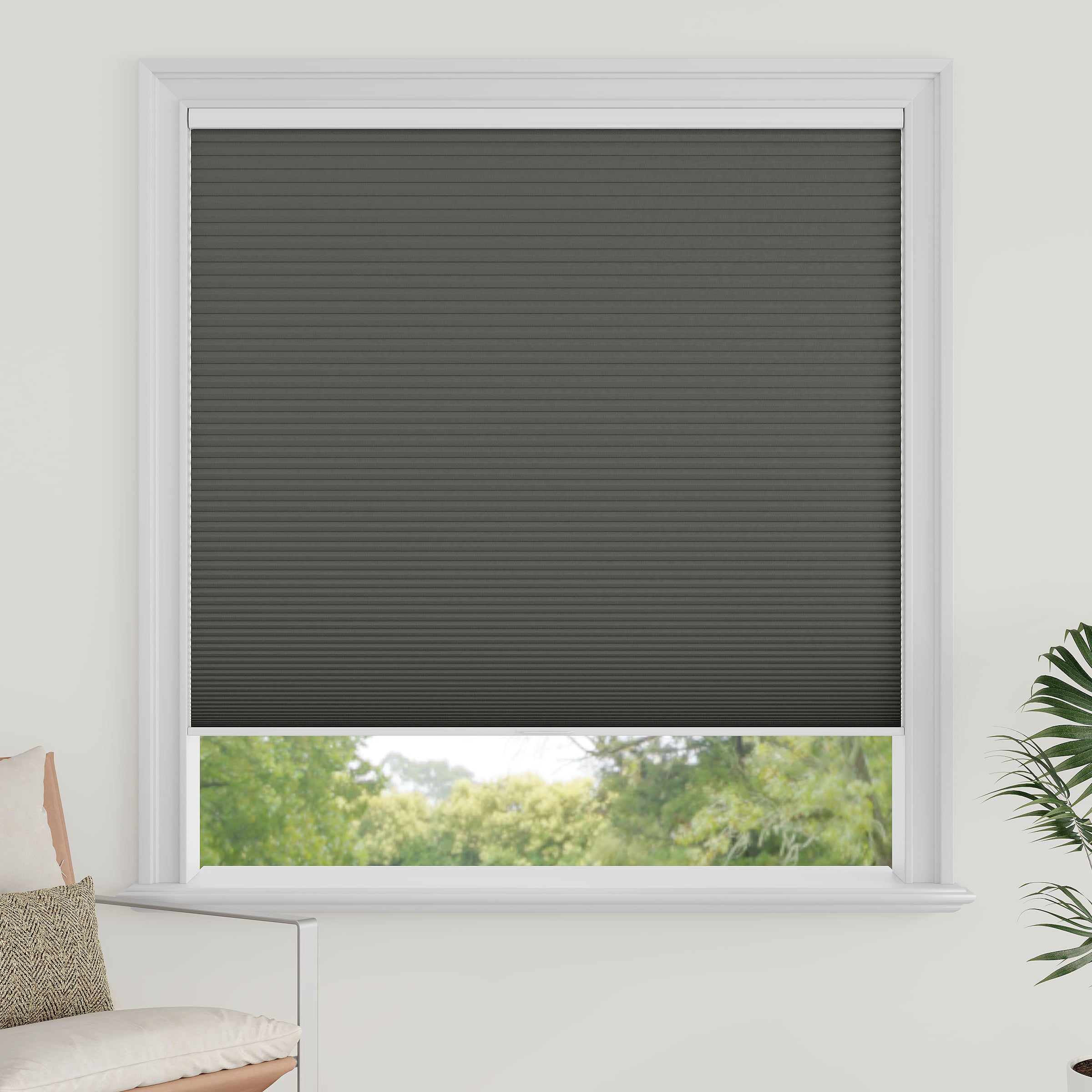 Cordless Blackout Cellular Shades