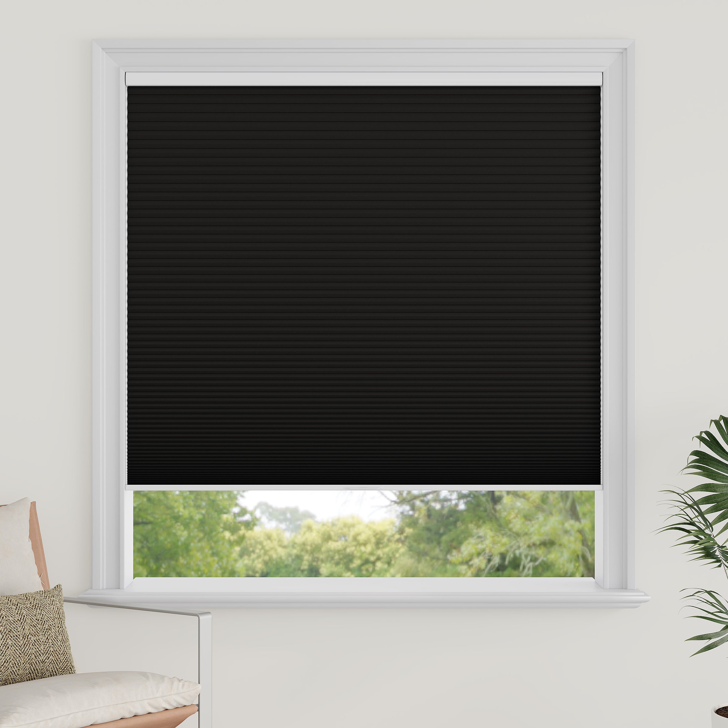 Cordless Blackout Cellular Shades