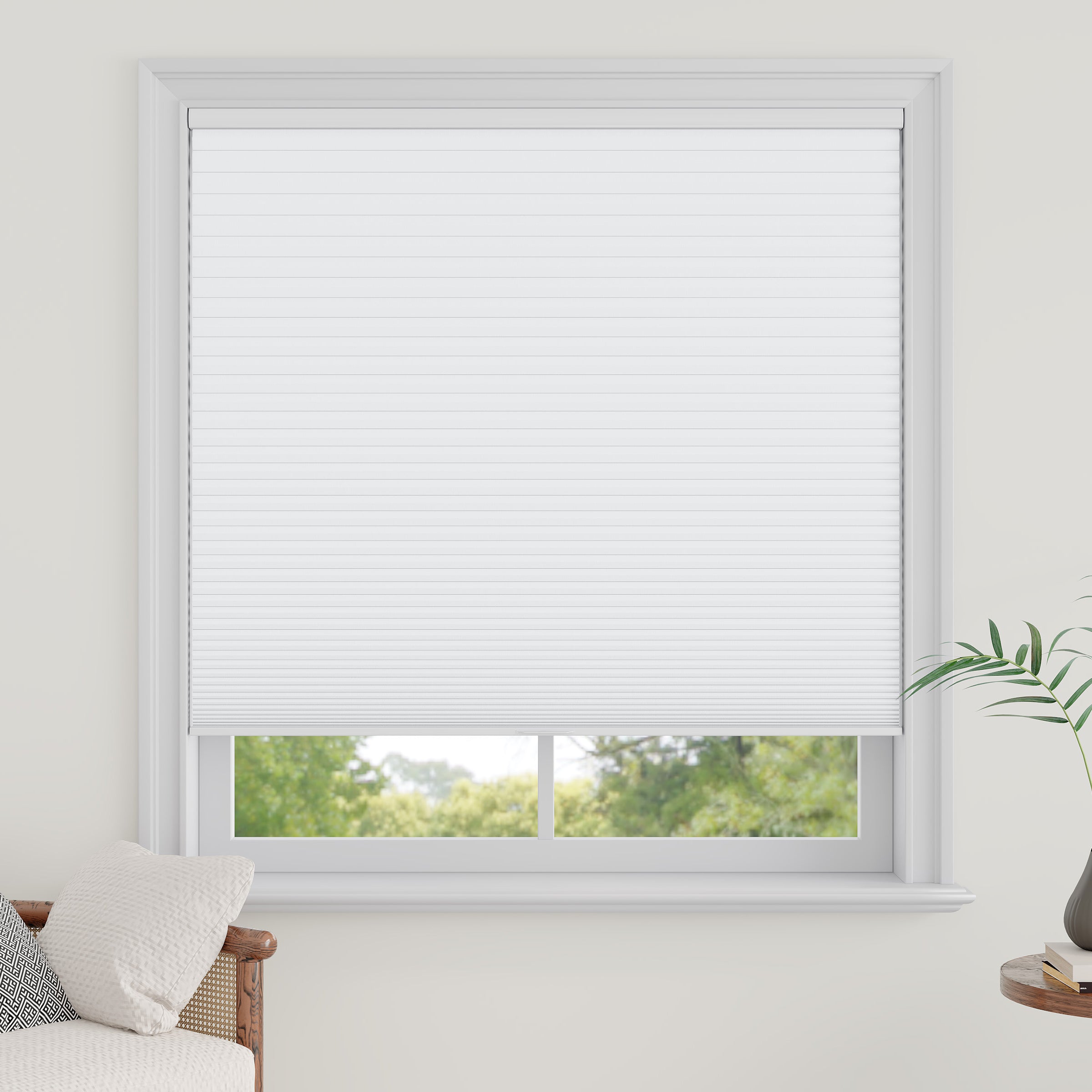 Cordless Blackout Cellular Shades