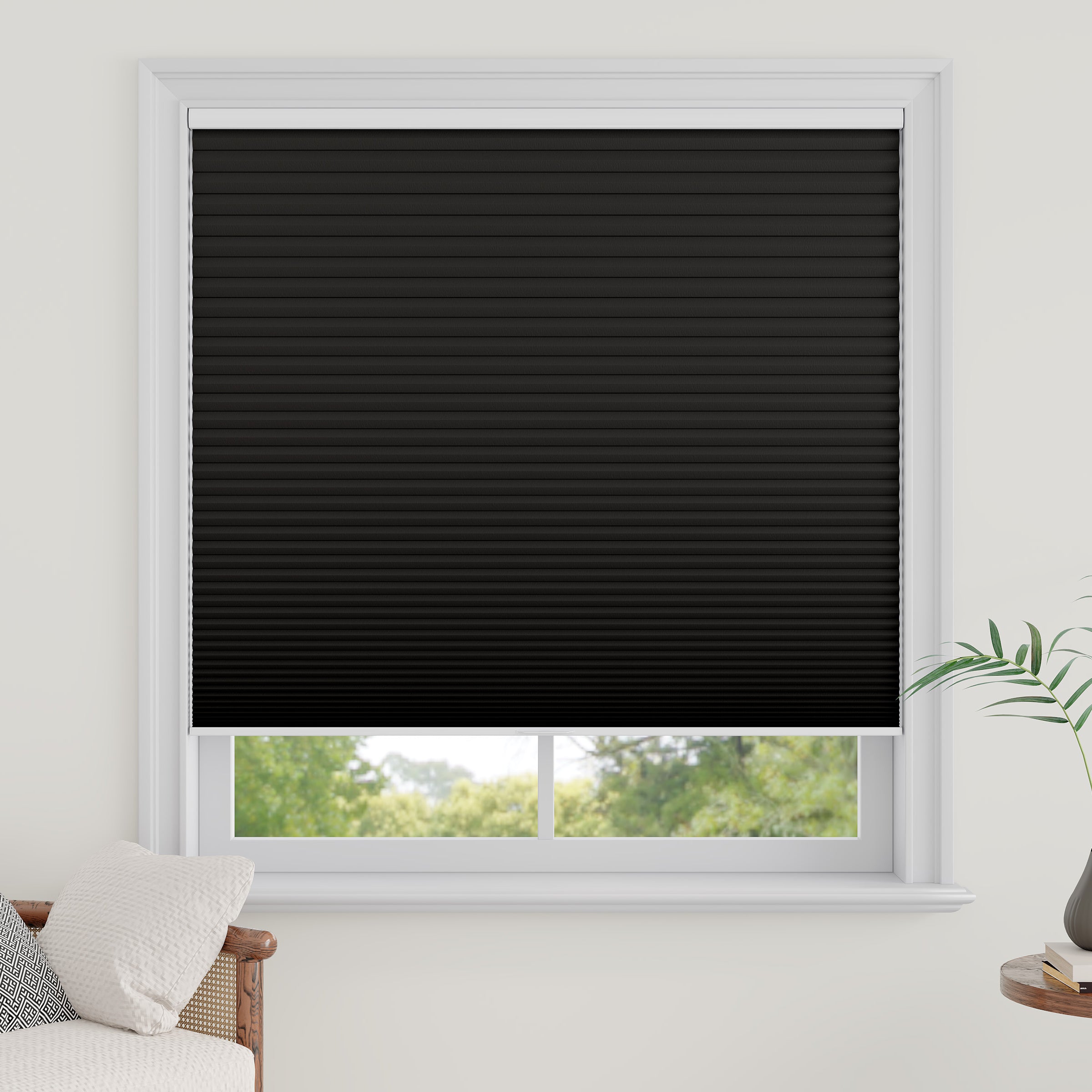 Cordless Blackout Cellular Shades