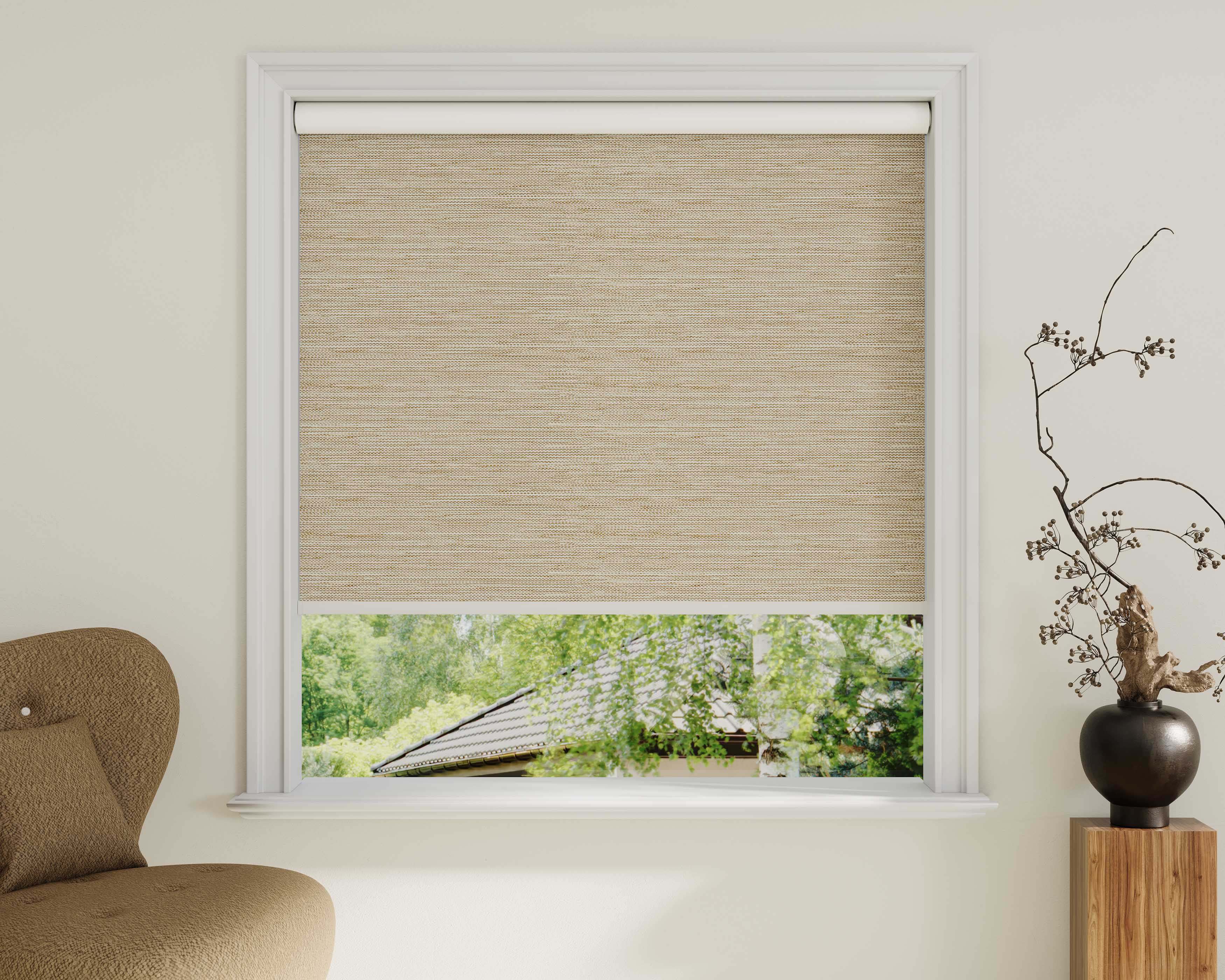 Blackout Roller Shades