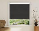 Blackout Roller Shades