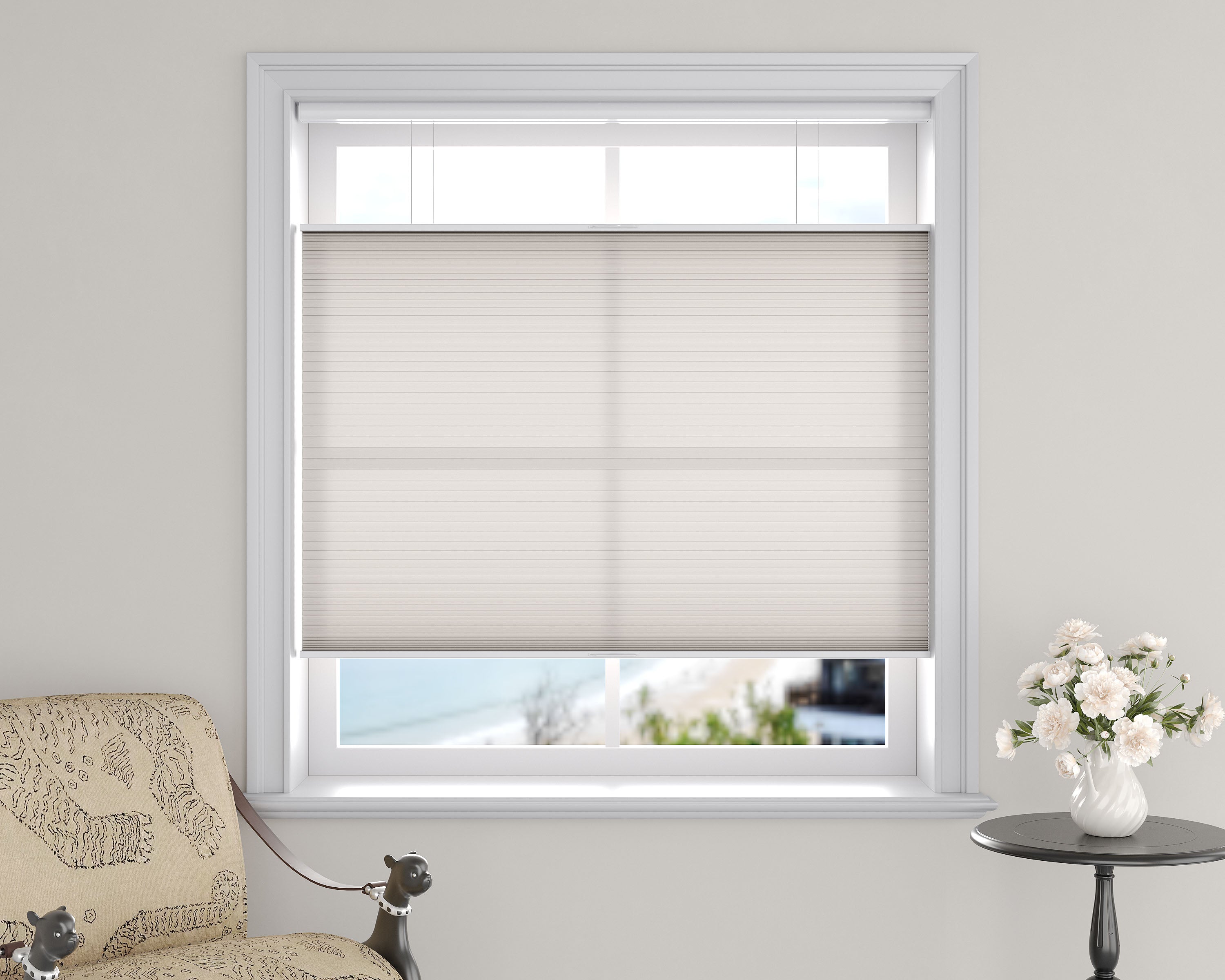 Light Filtering Top Down Bottom Up Cellular Shades