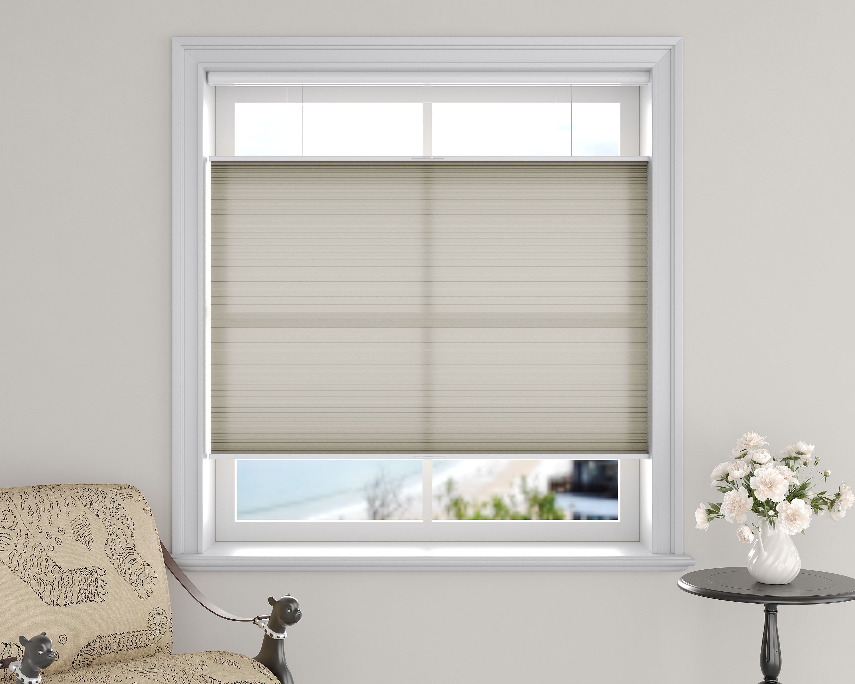 Light Filtering Top Down Bottom Up Cellular Shades