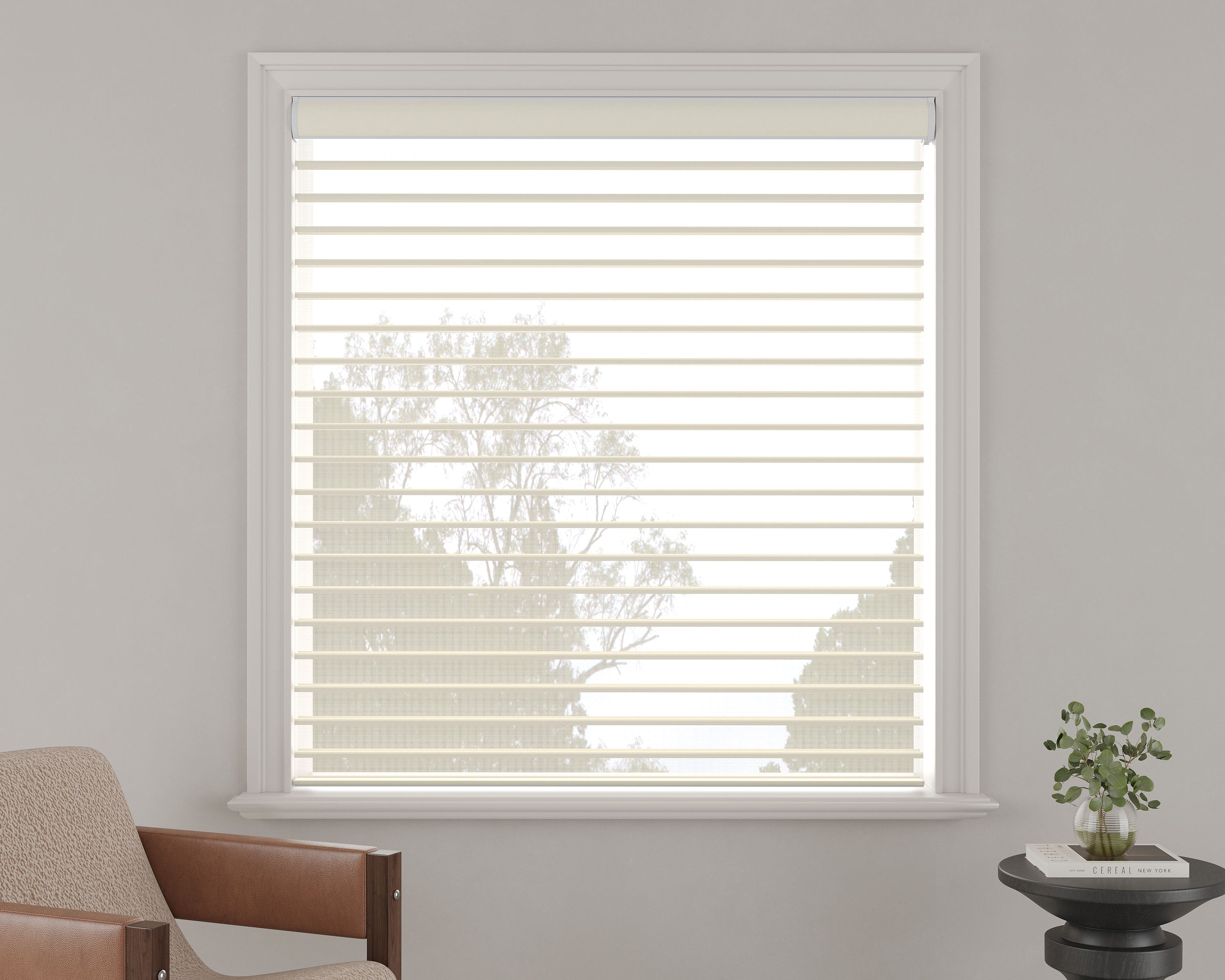 Light-Filtering Sheer Shades