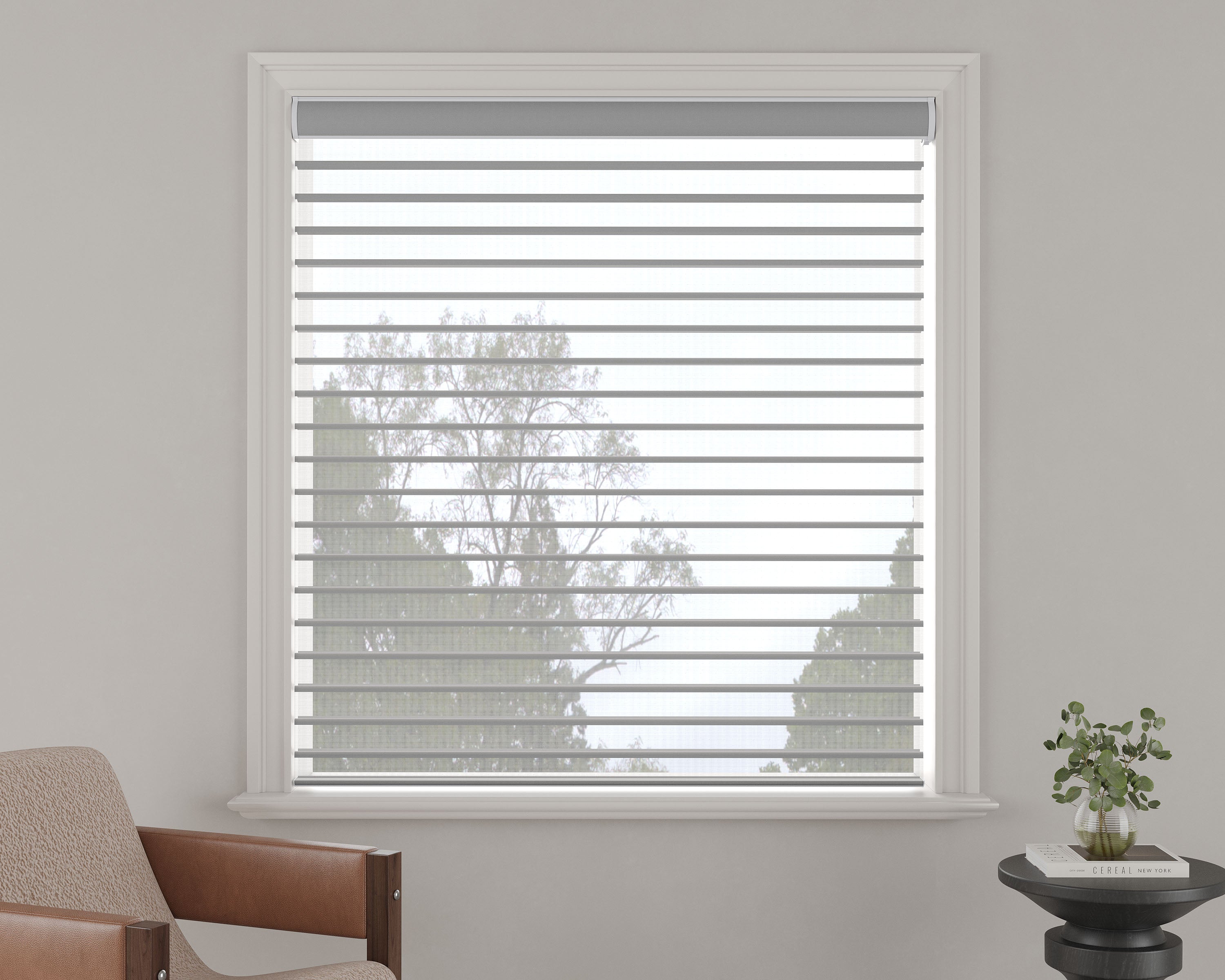 Light-Filtering Sheer Shades