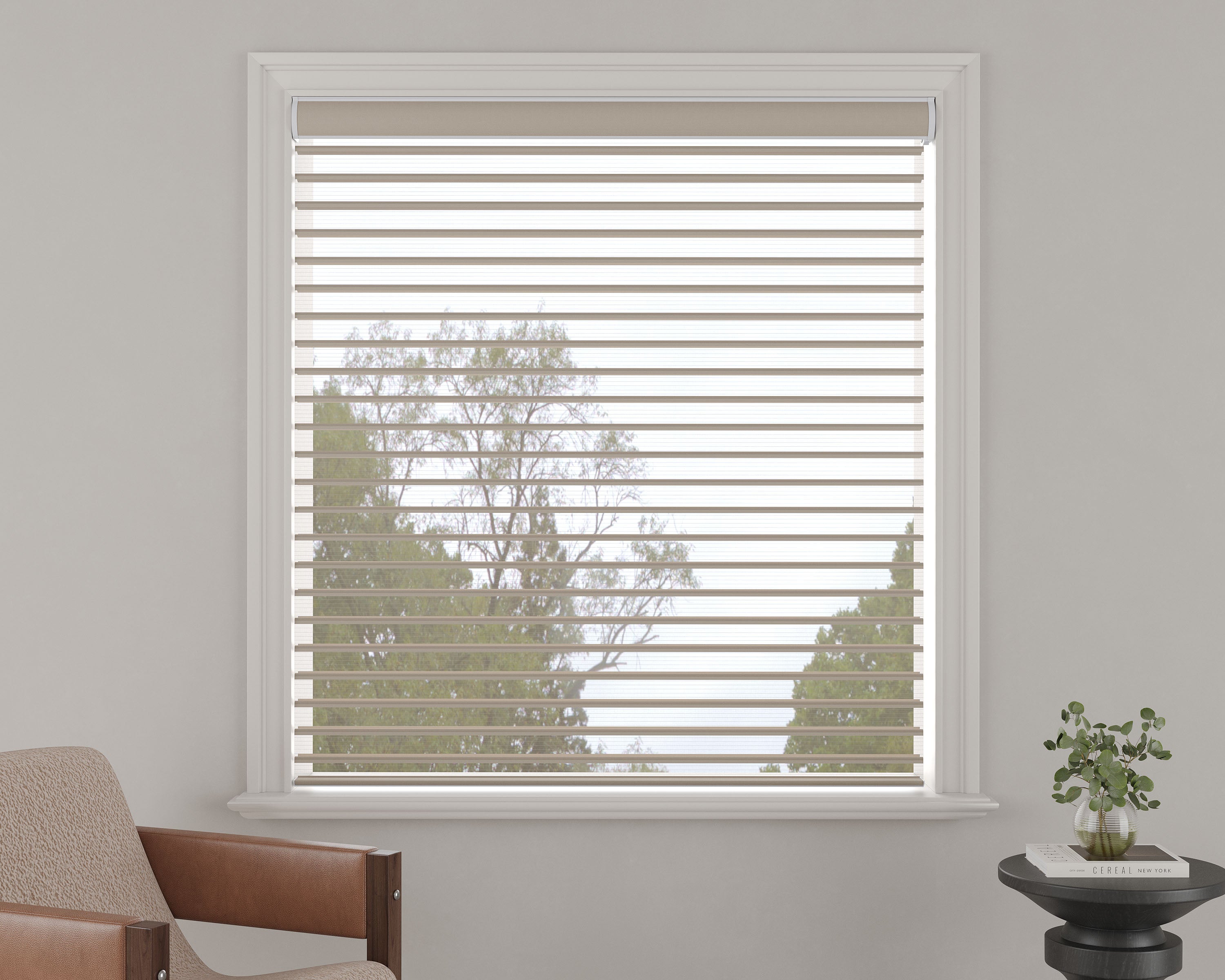 Light-Filtering Sheer Shades