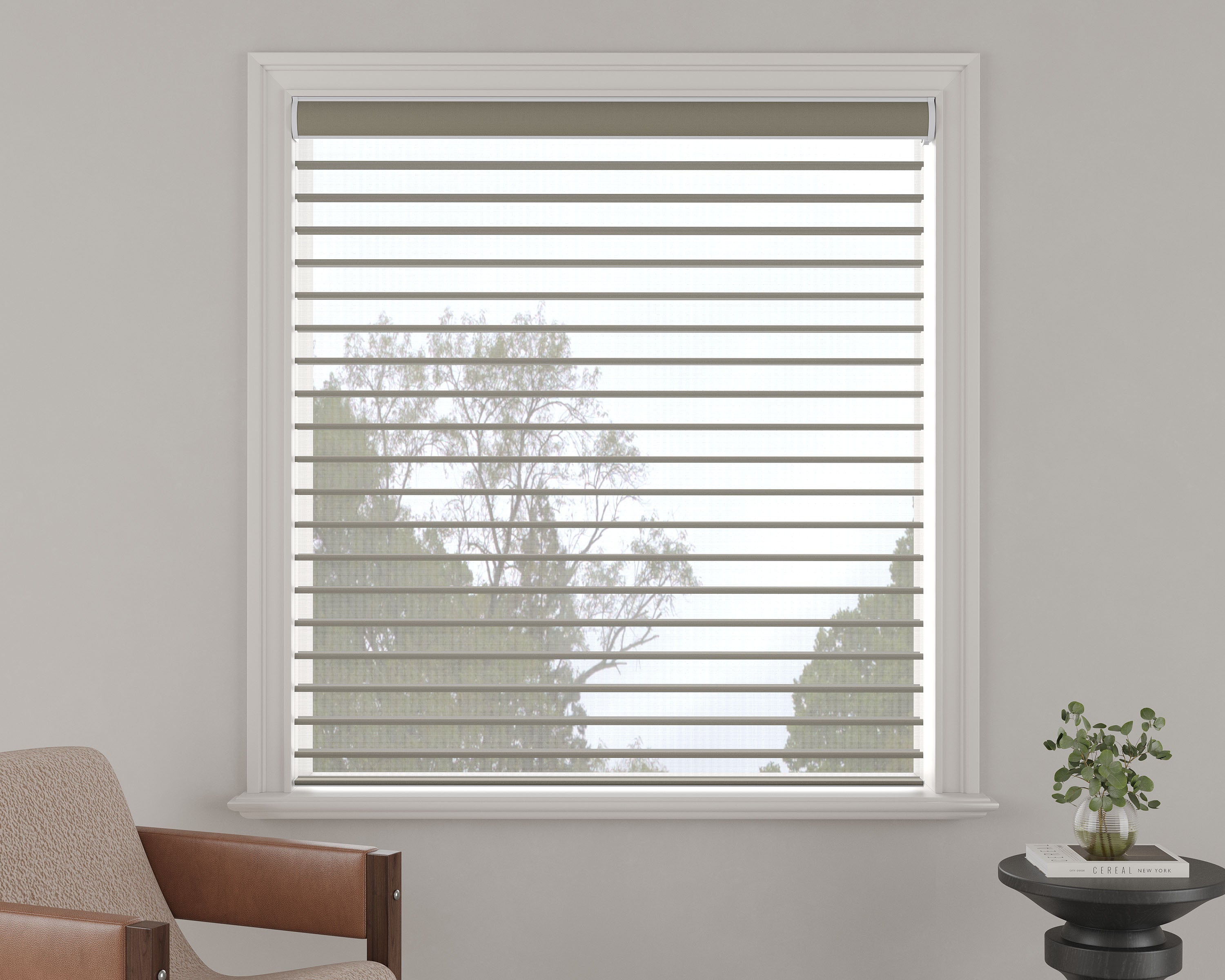 Light-Filtering Sheer Shades