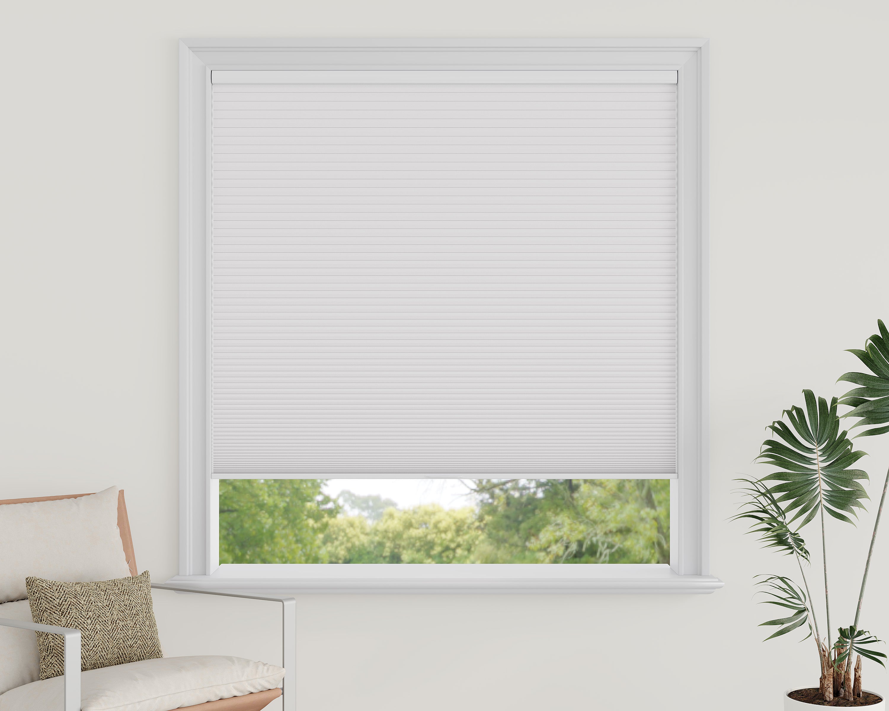 Cordless Blackout Cellular Shades