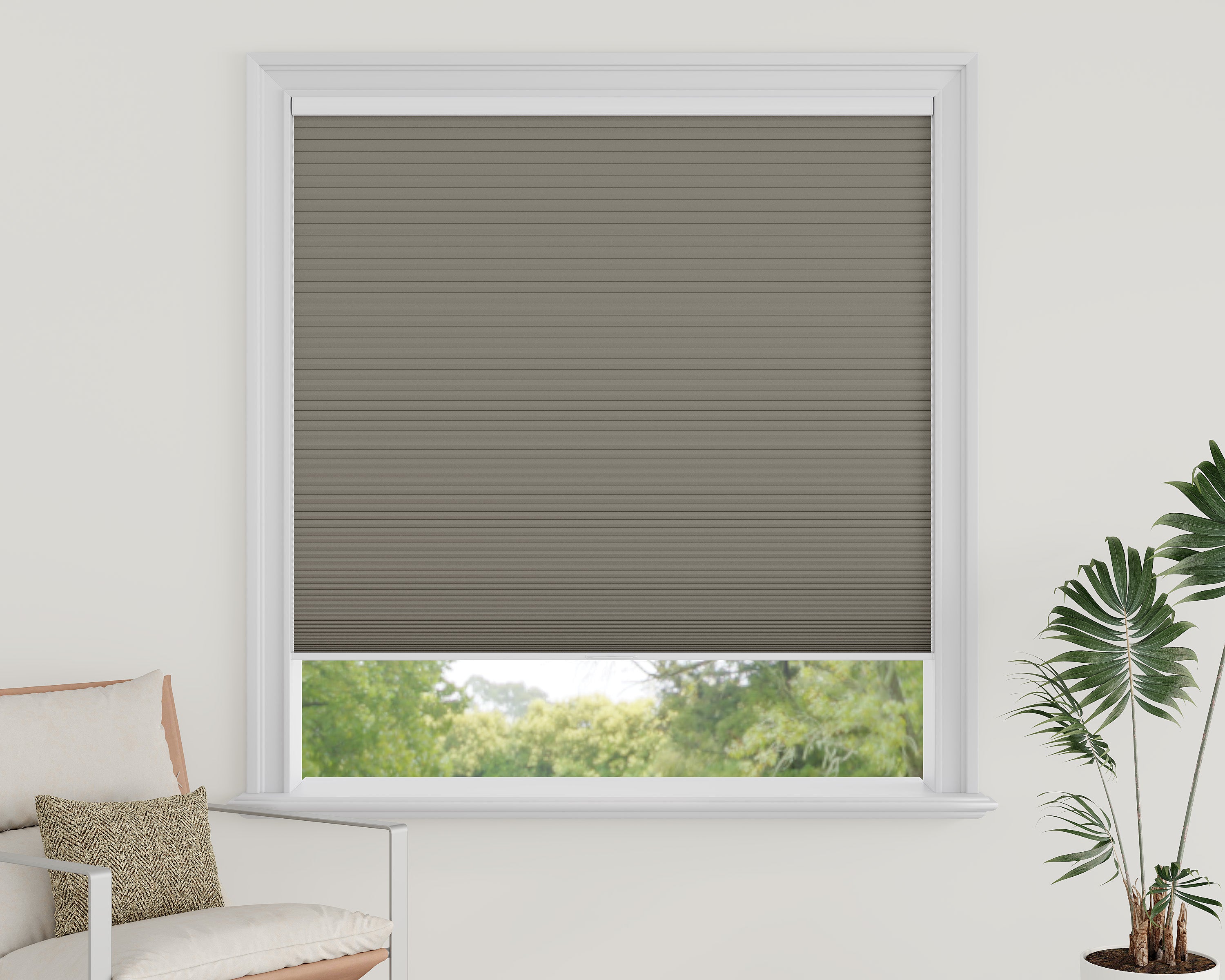 Cordless Blackout Cellular Shades